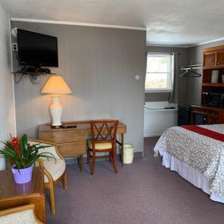 Classic Quadruple Room - Photo 6