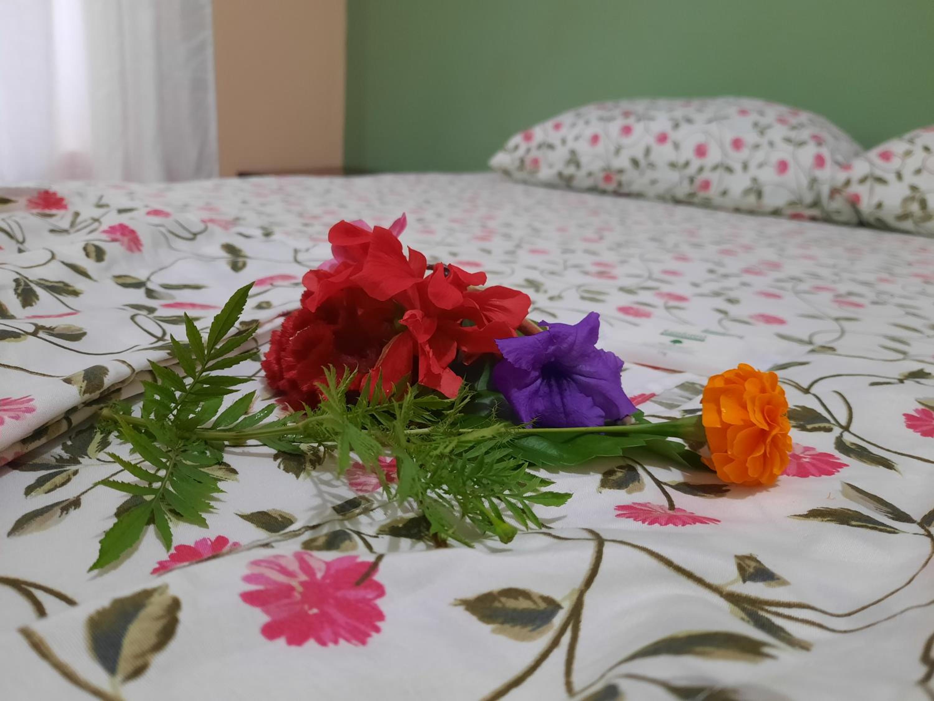 Double Room with Private Bathroom photo 1