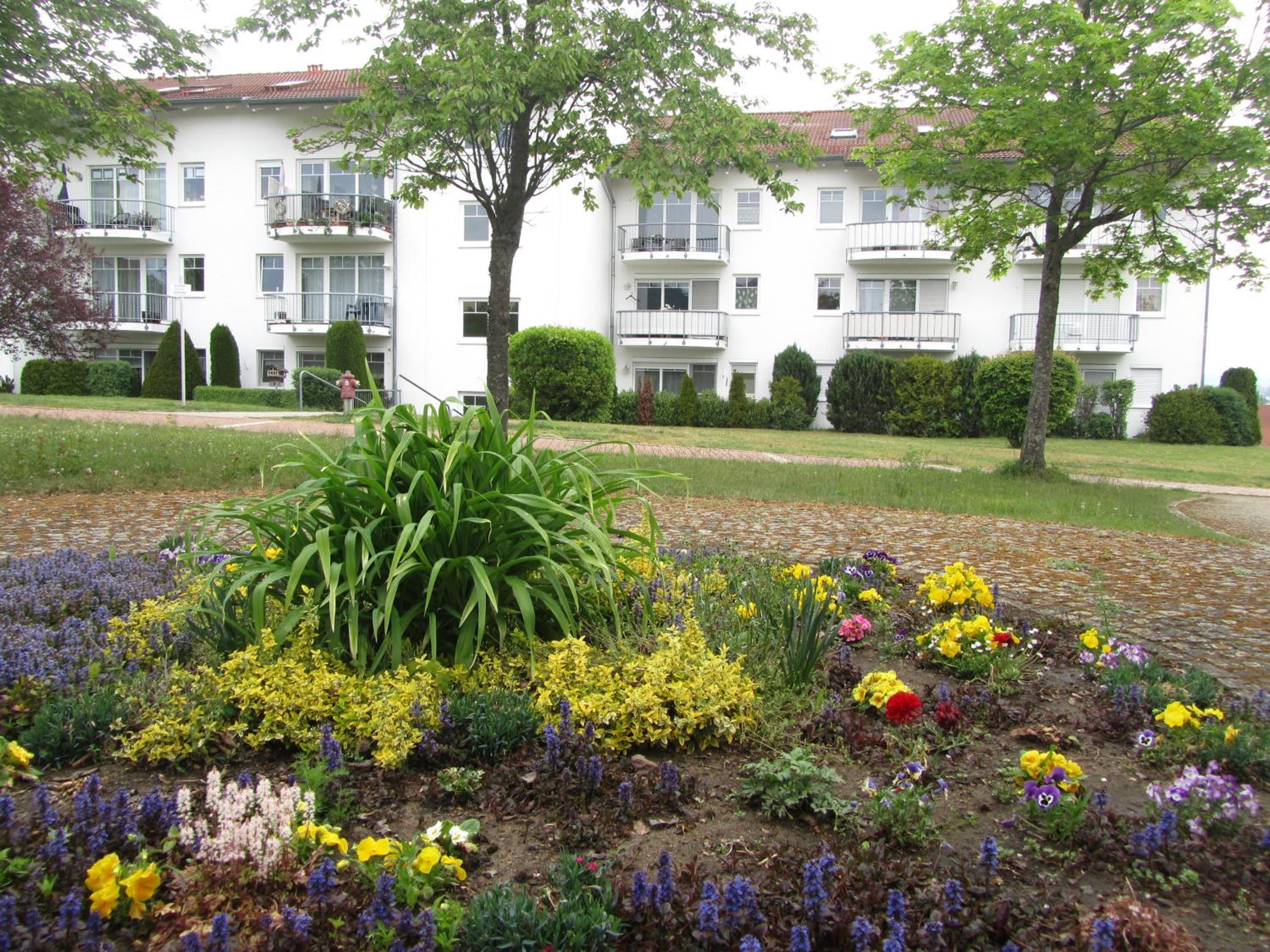 Apartment with Terrace photo 3