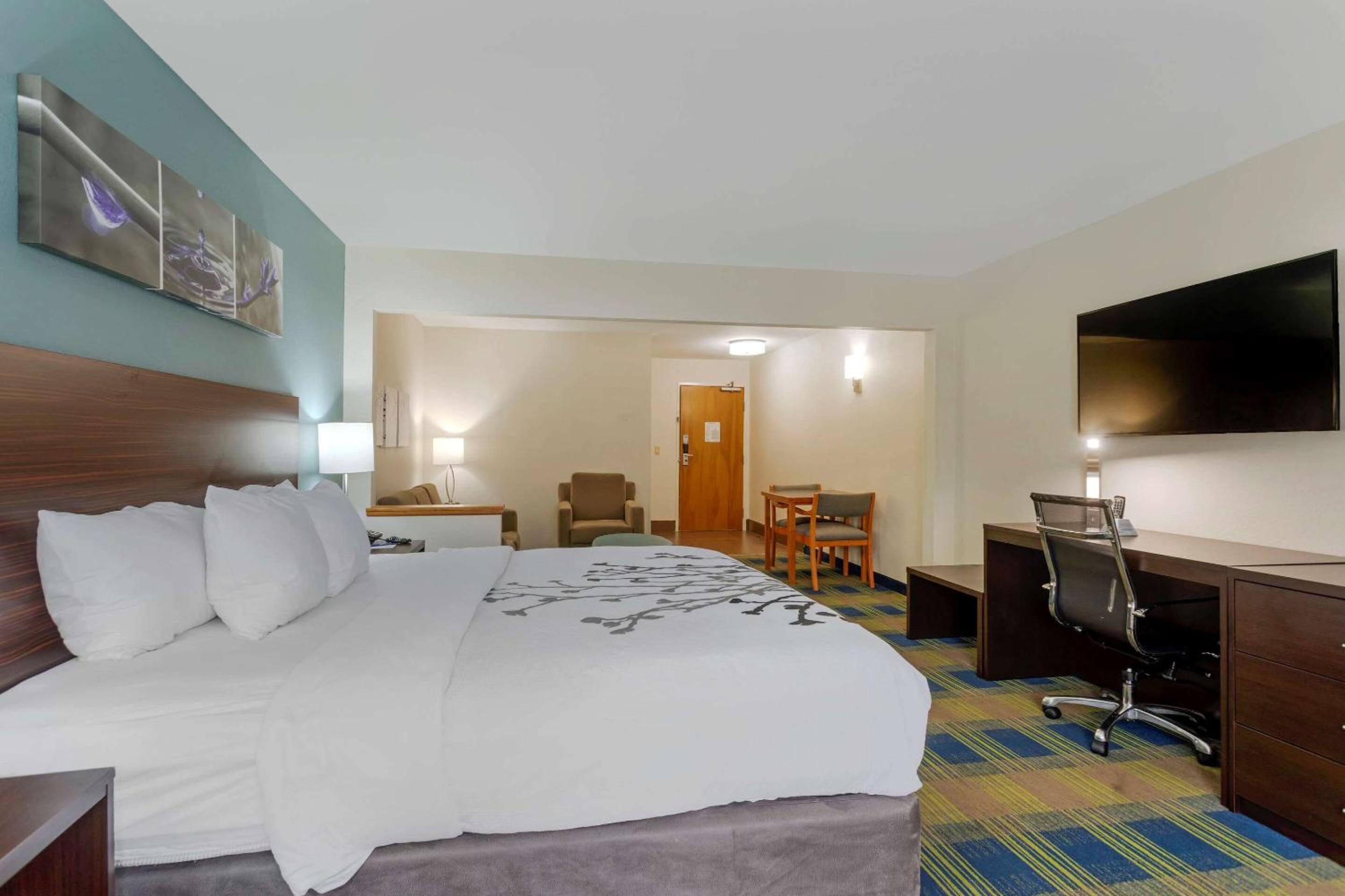 King Suite with Sofa Bed - Non-Smoking - Photo 4