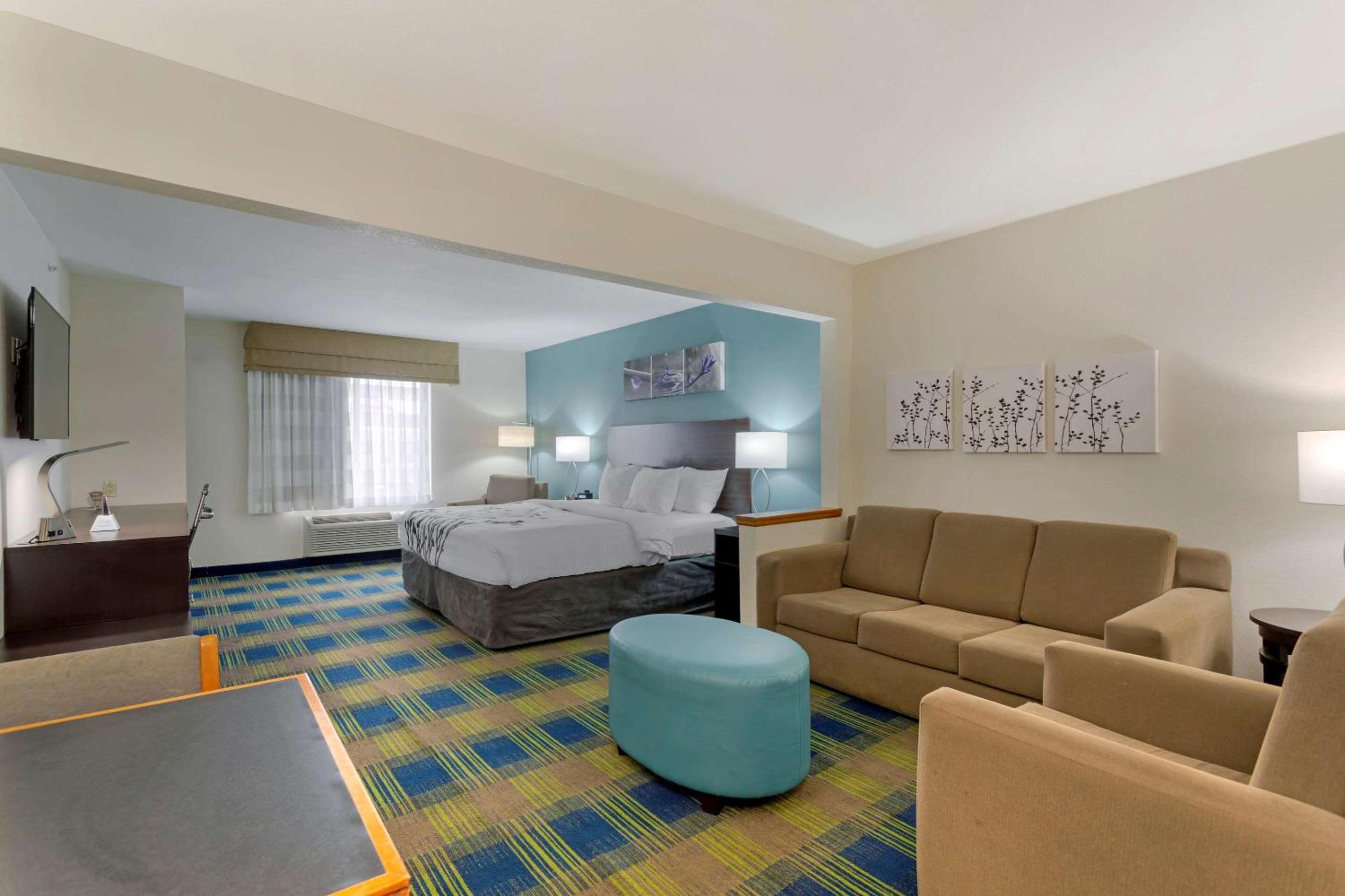 King Suite with Sofa Bed - Non-Smoking - Photo 3