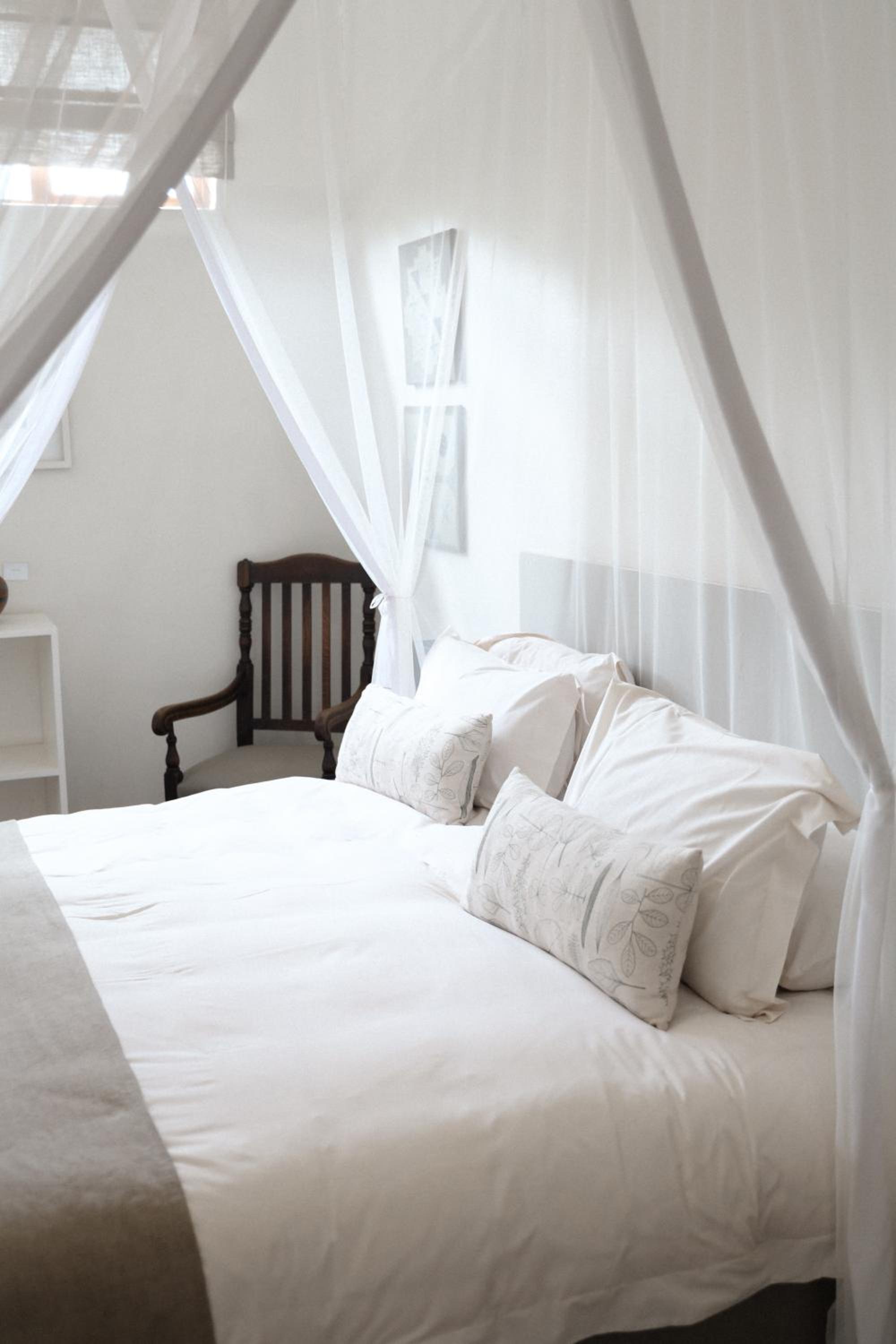 Suite - Photo 1