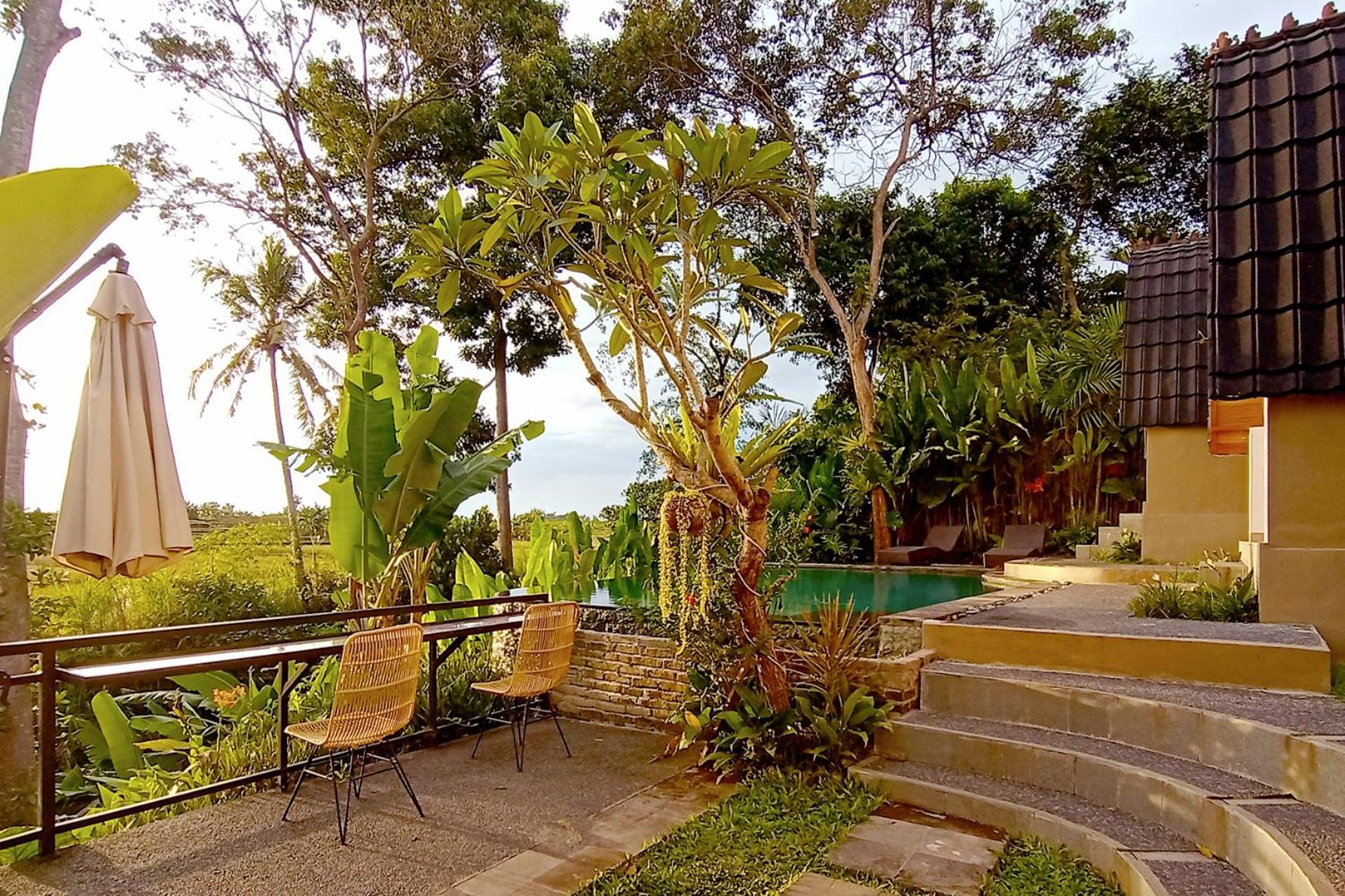 King Room with Pool View - Photo 11