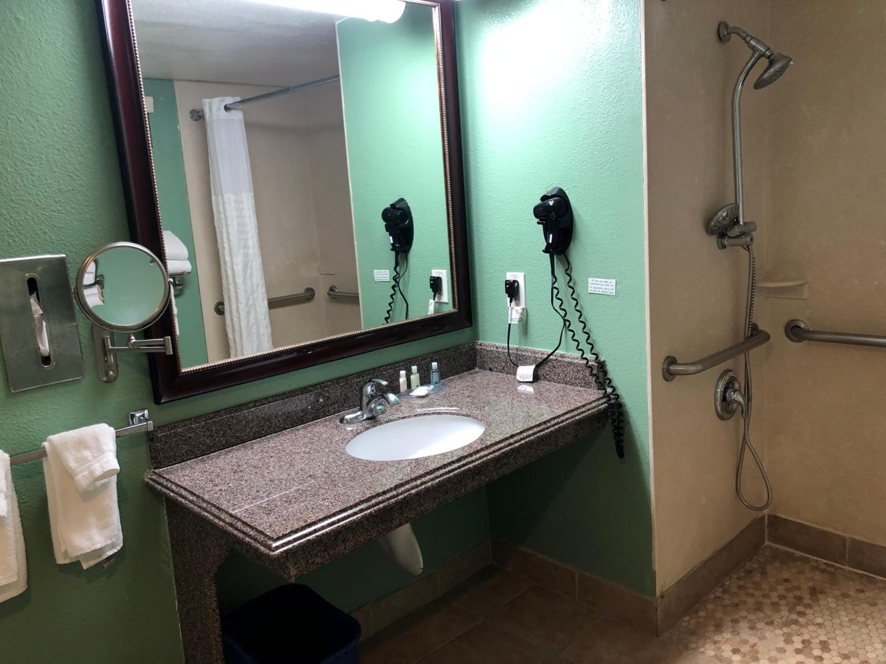 Accessible Room, 1 King Bed, Roll-In Shower, Non Smoking - Photo 6