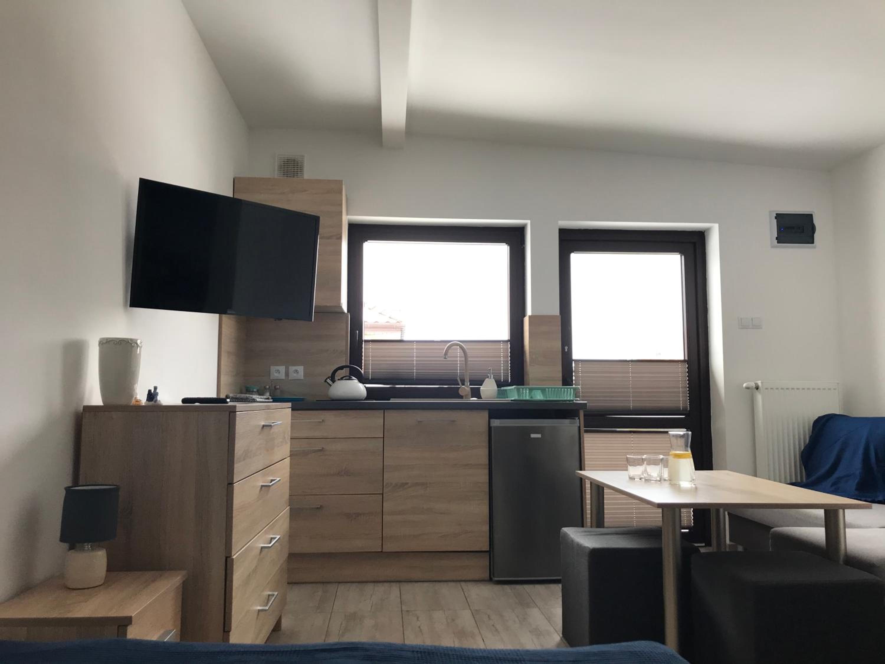 One-Bedroom Apartment photo 3