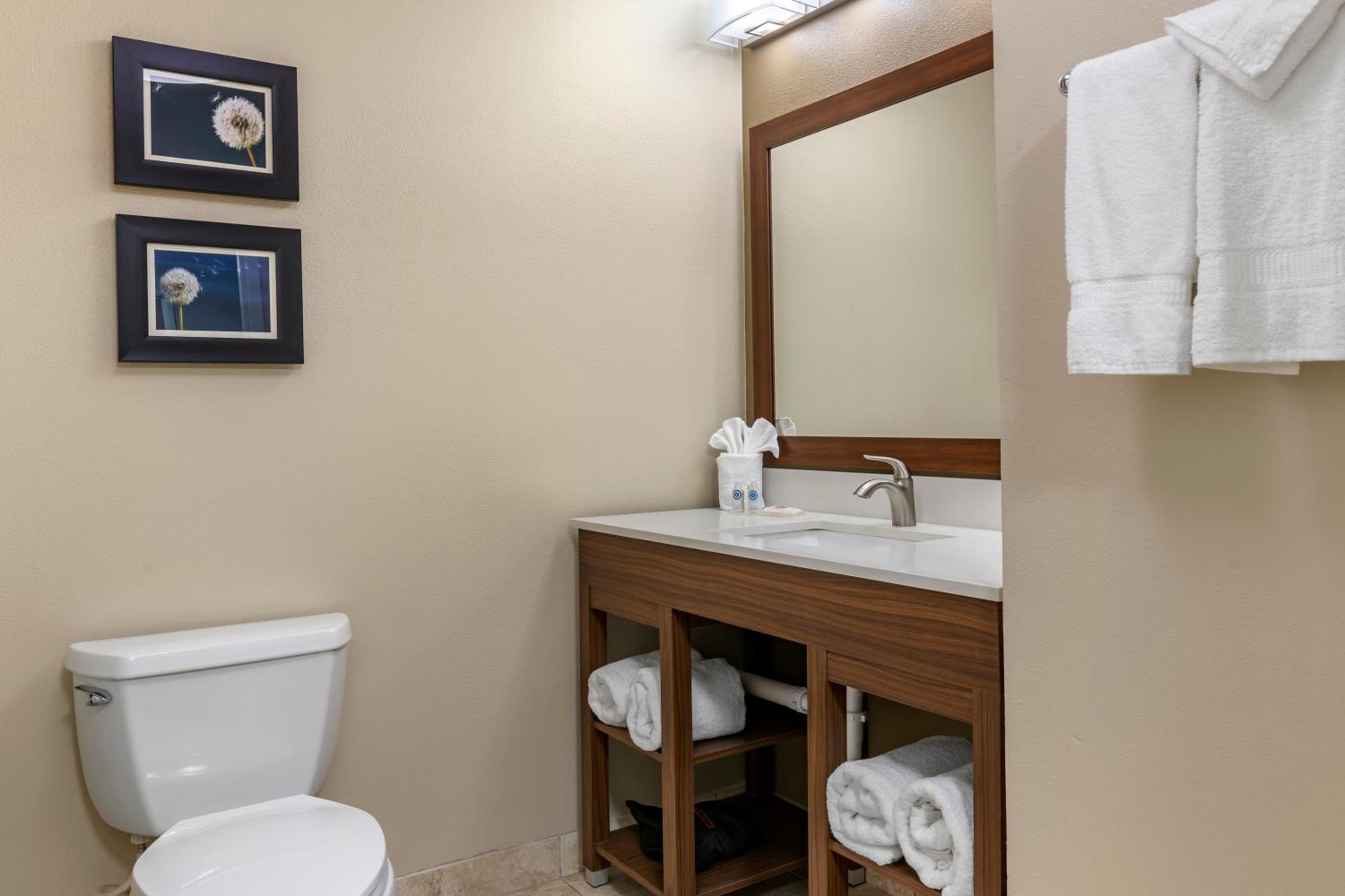 Comfort Inn & Suites Tifton, Foto 2