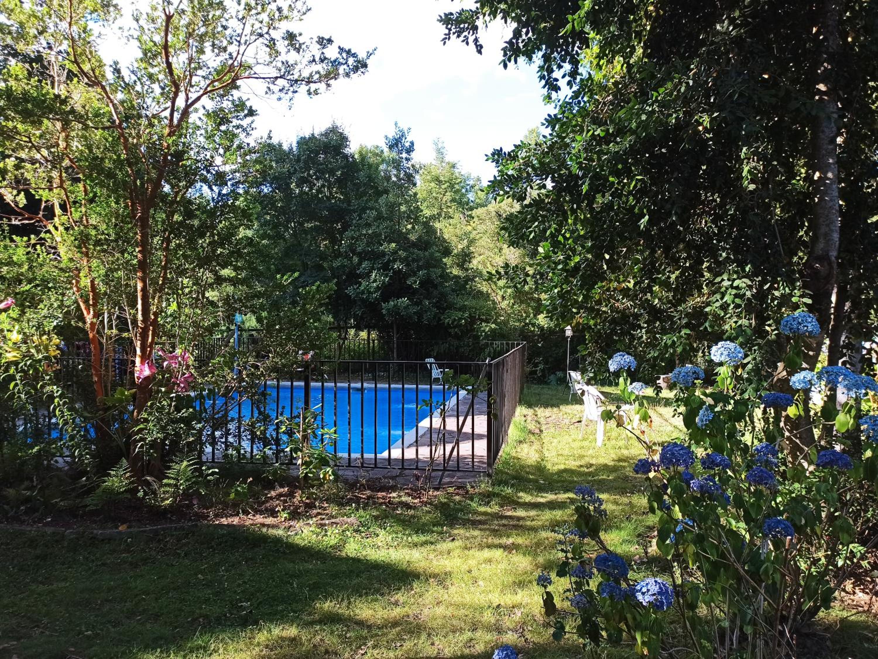 Family Studio photo 2