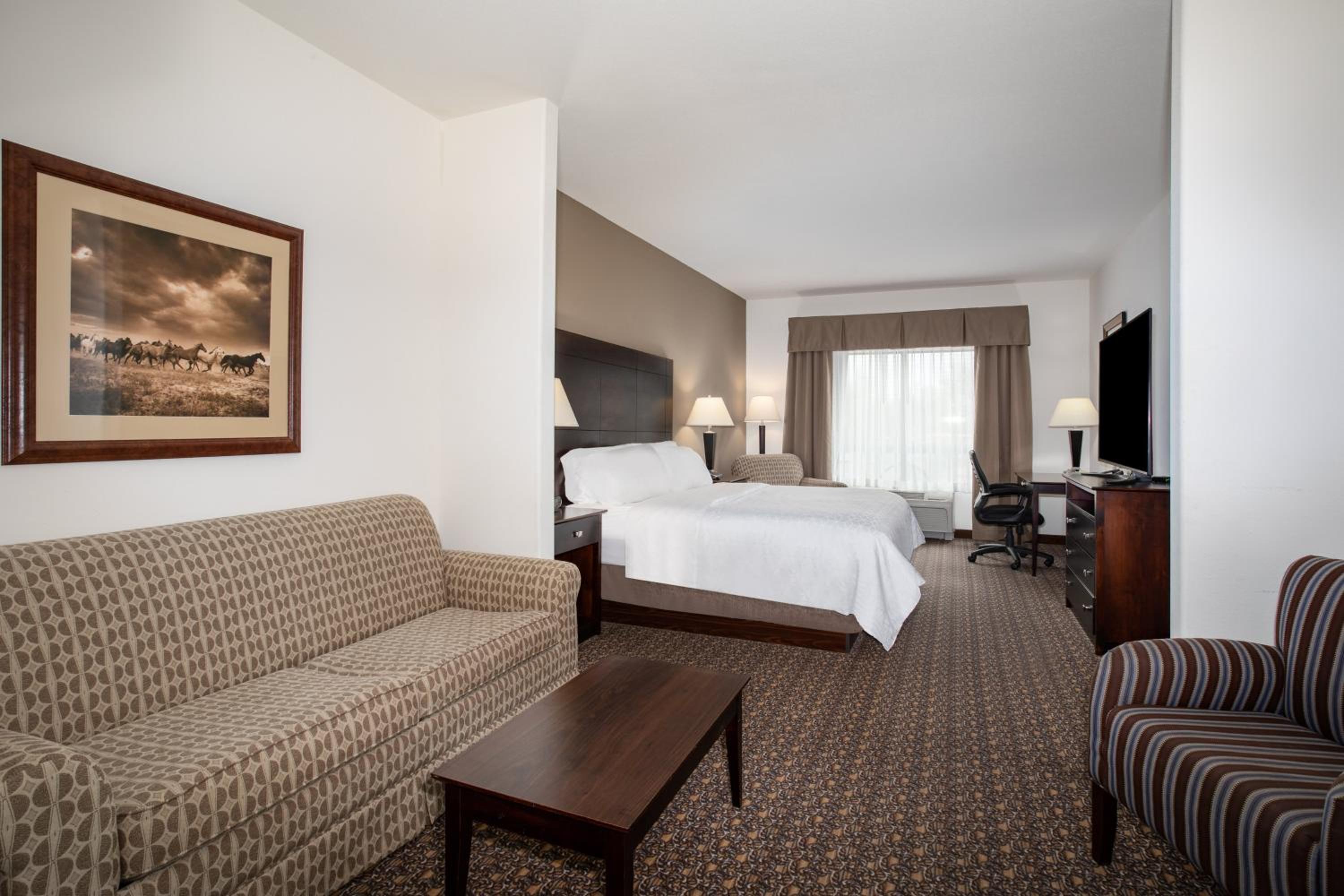 King Suite with Sofa Bed - Photo 1