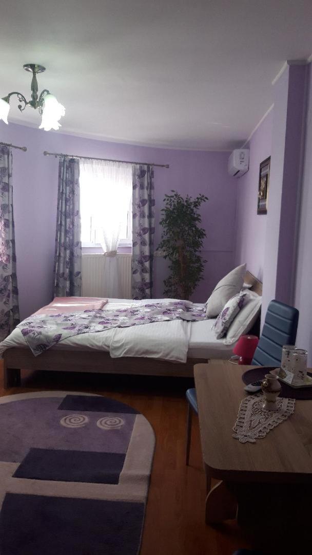 Family Room with Private Bathroom - Photo 3