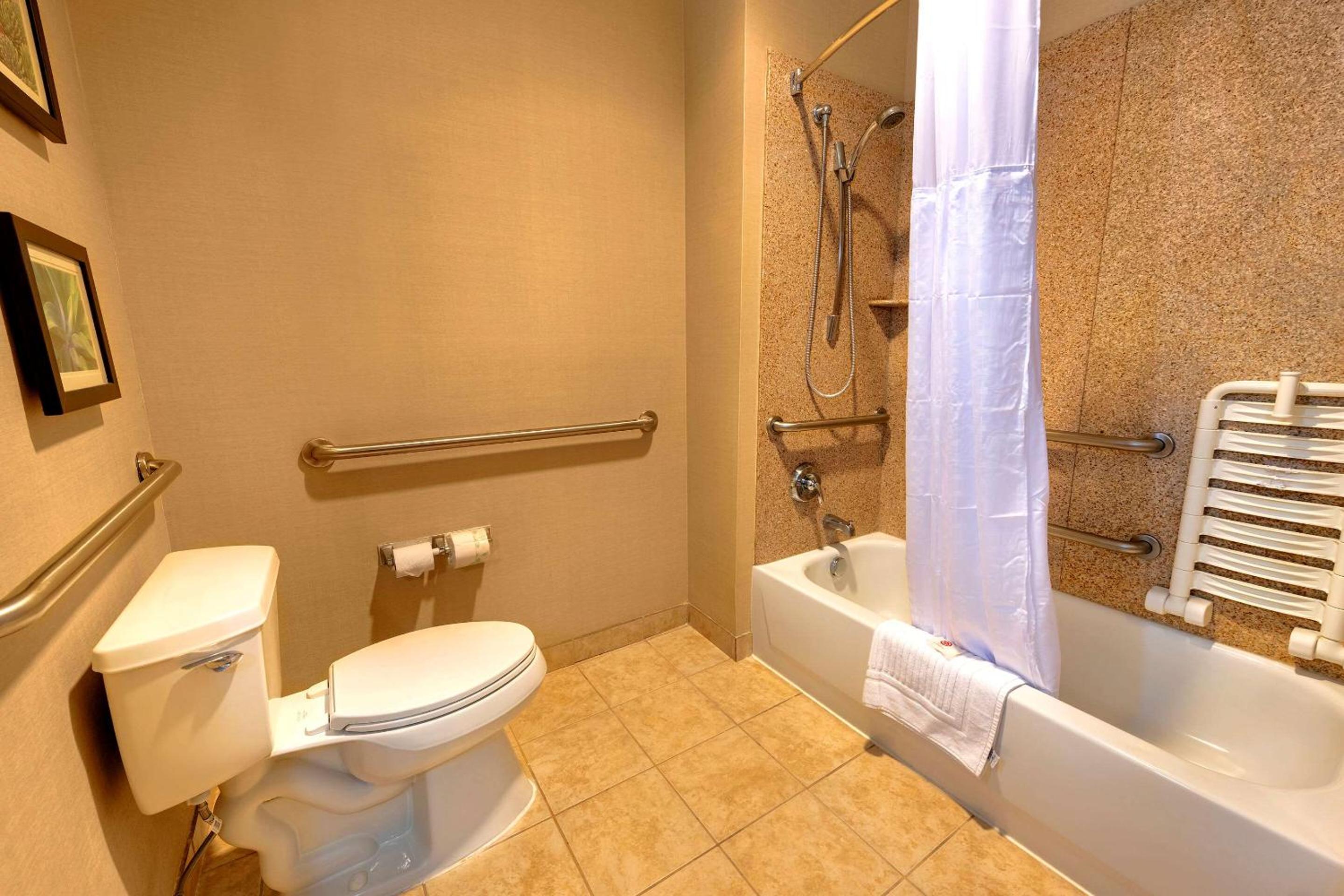 King Suite with Living Room - Accessible/Non-Smoking - Photo 3
