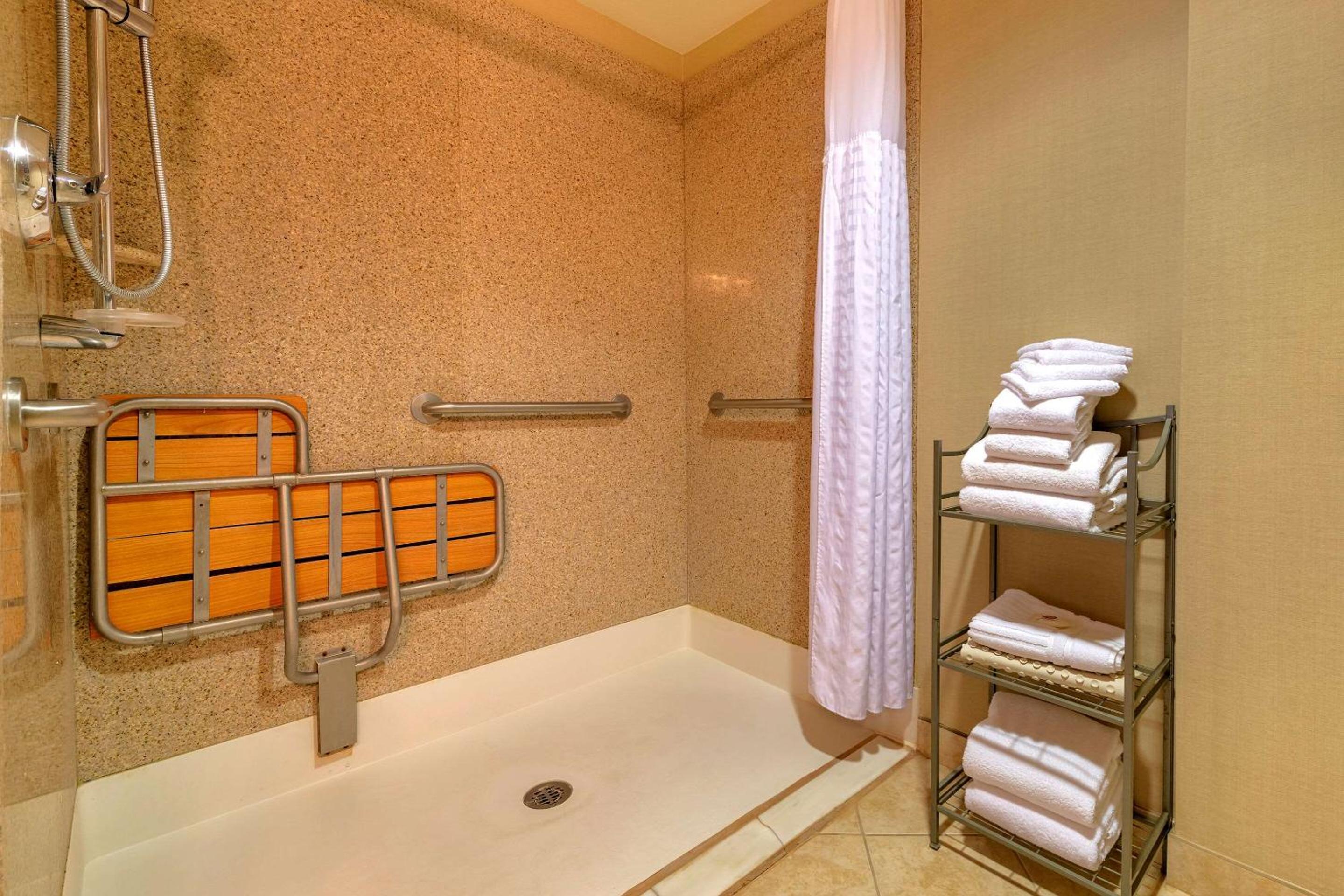 King Suite with Roll-In Shower - Accessible/Non-Smoking - Photo 5