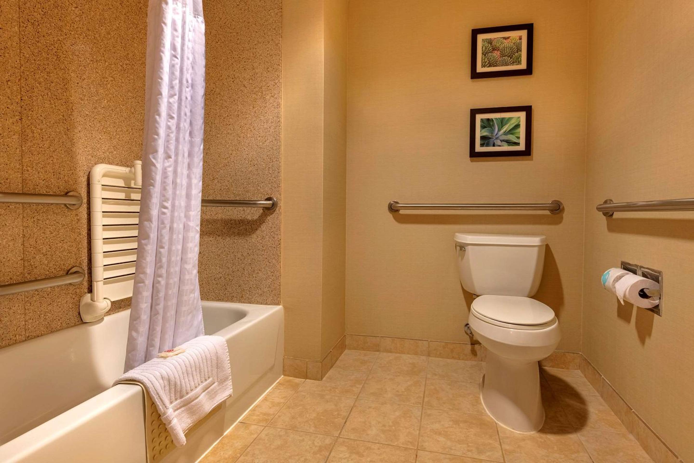 King Suite with Living Room - Accessible/Non-Smoking - Photo 5