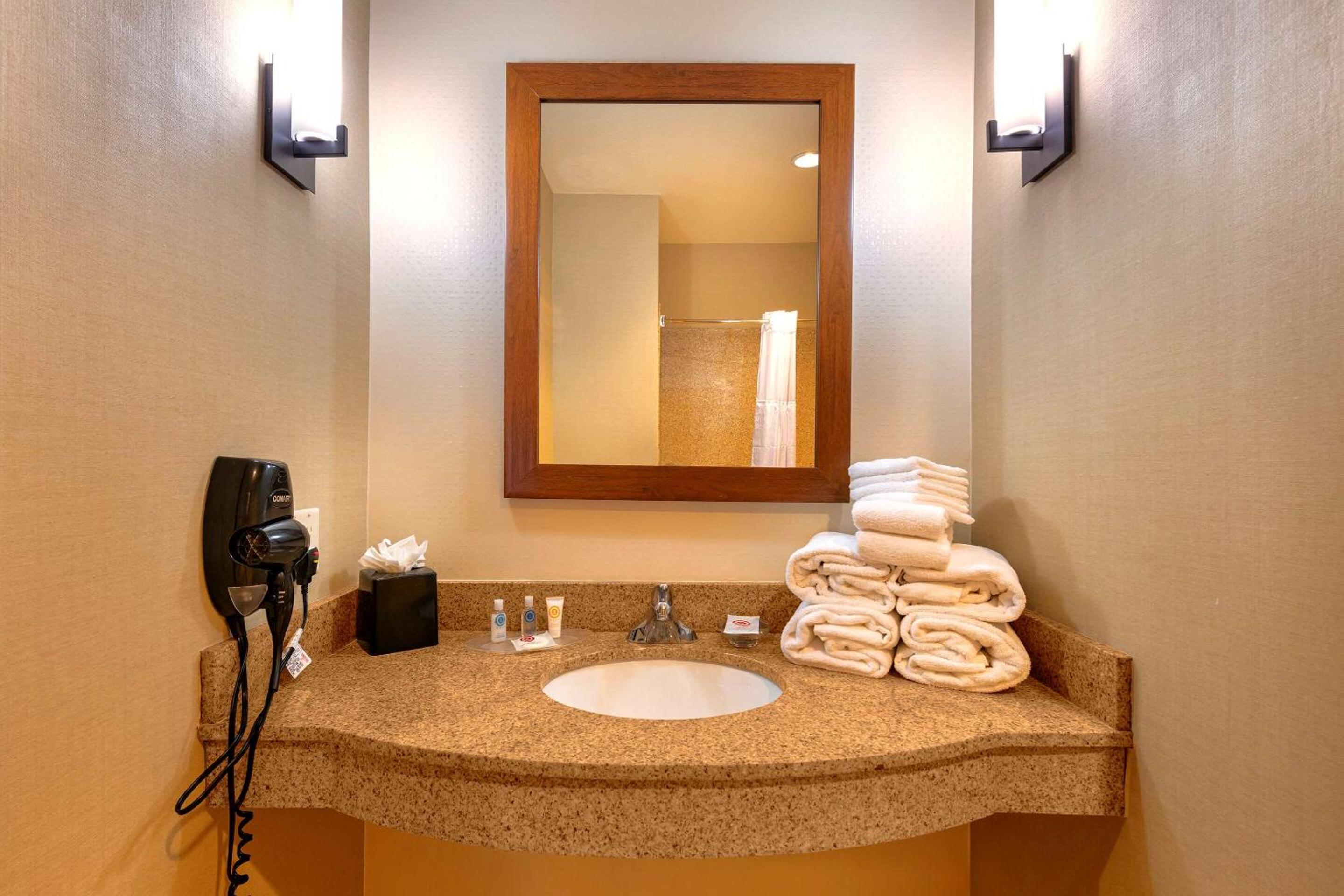 King Parlor Suite - Non Smoking - Photo 3