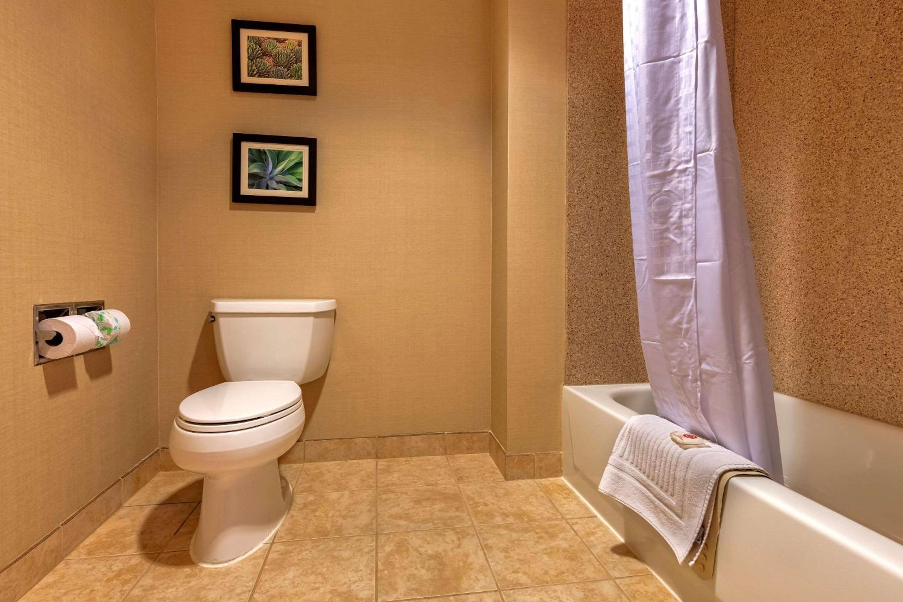 King Parlor Suite - Non Smoking - Photo 4