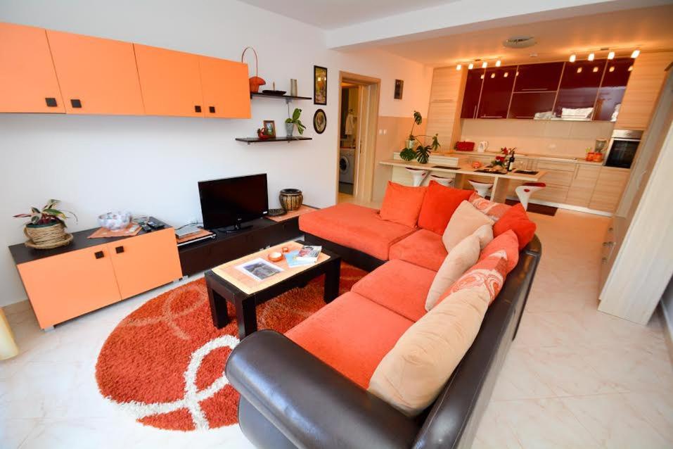 Apartment with Mountain View photo 3