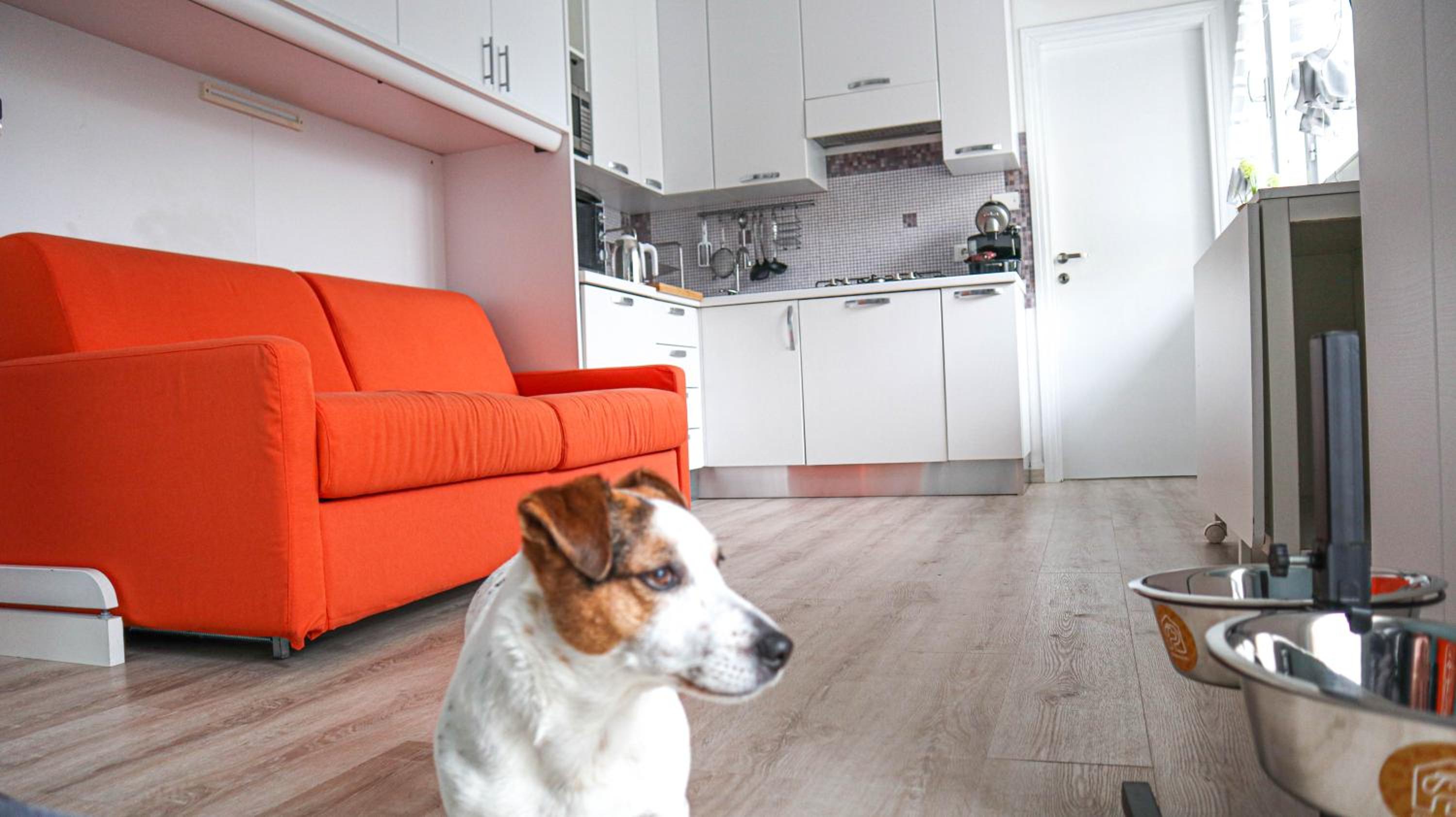 Apartment with Terrace - Photo 2