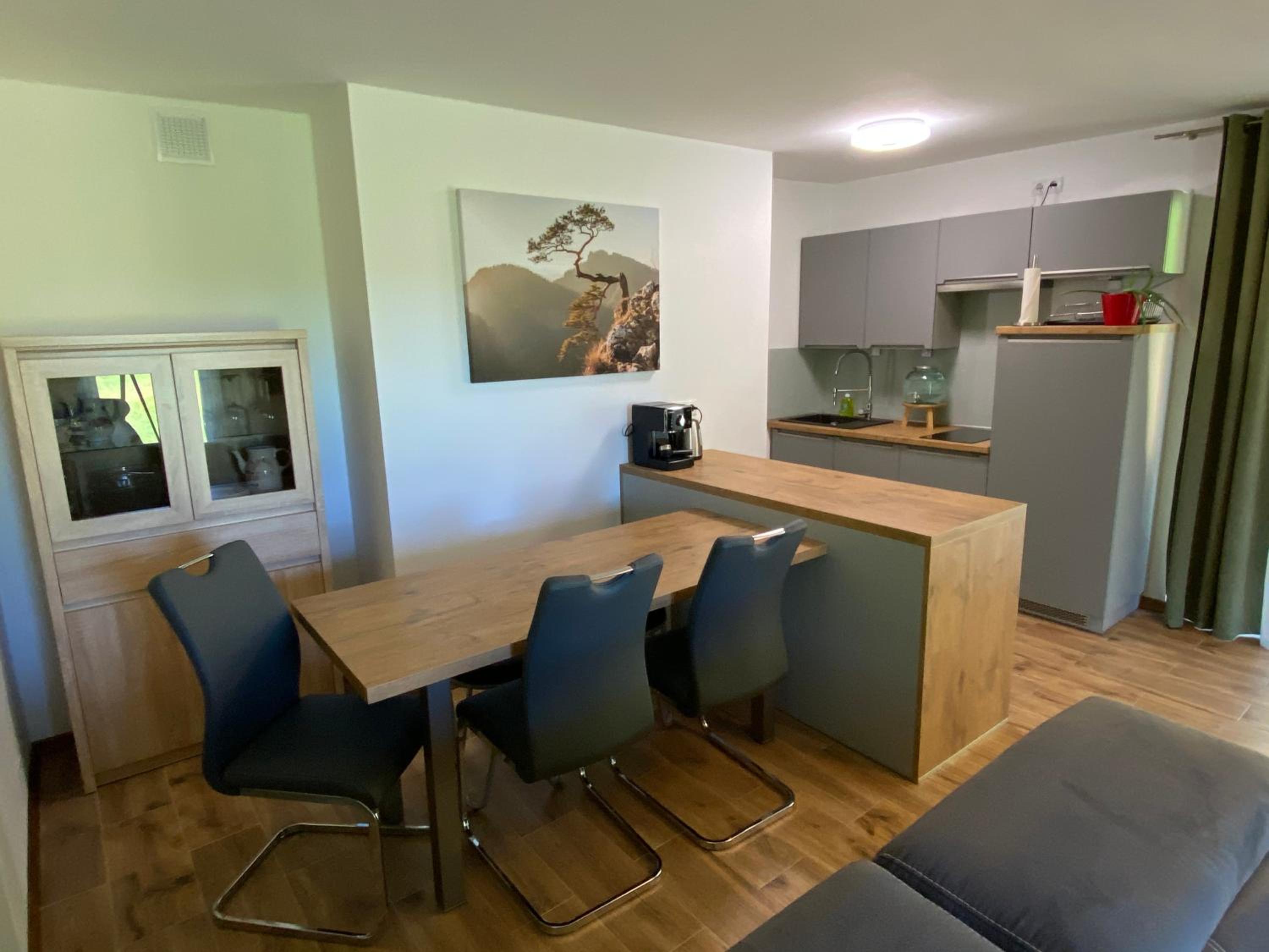 Apartment with Mountain View