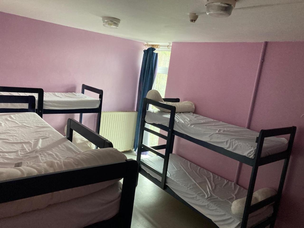 Bunk Bed in Mixed Dormitory Room photo 2