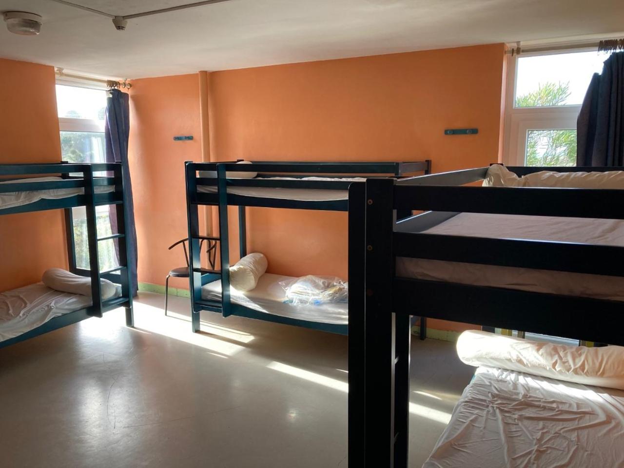 Bunk Bed in Mixed Dormitory Room photo 1