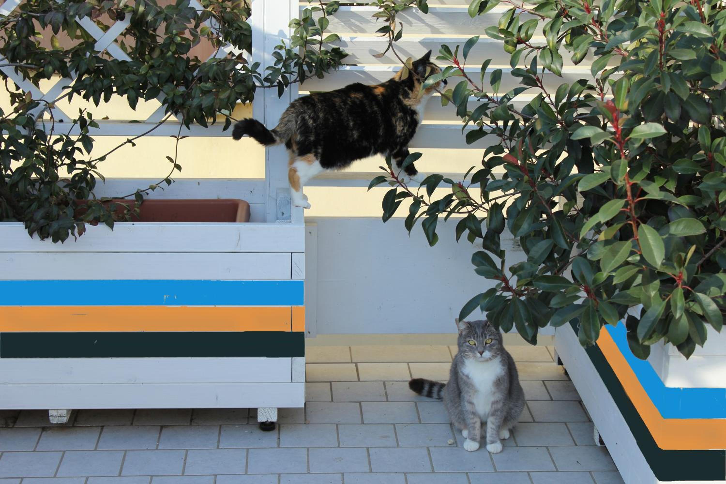 Apartment with Terrace - Photo 26