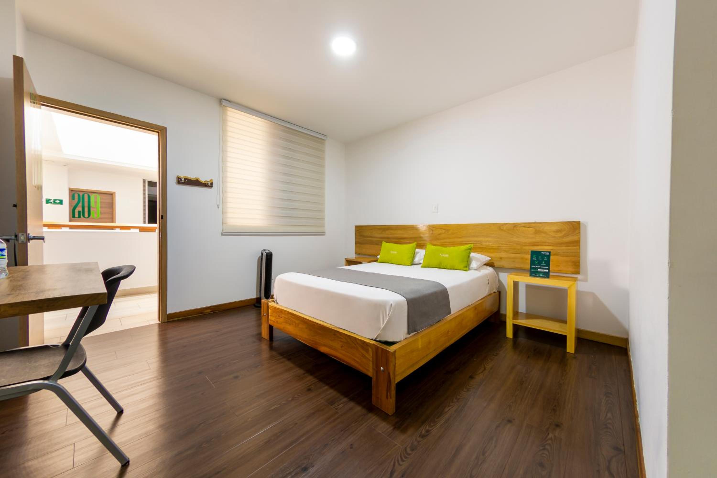 Double Room photo 1