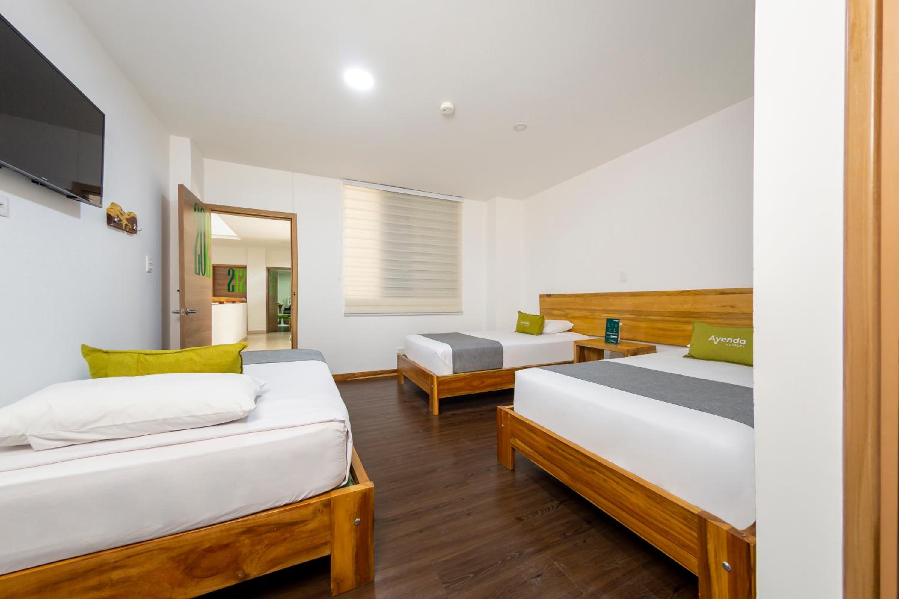 Triple Room photo 3