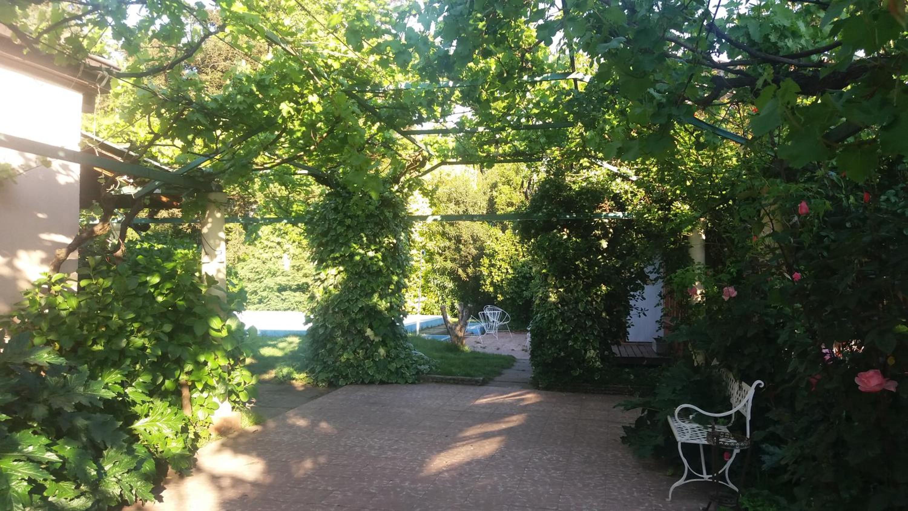Apartment with Garden View photo 3