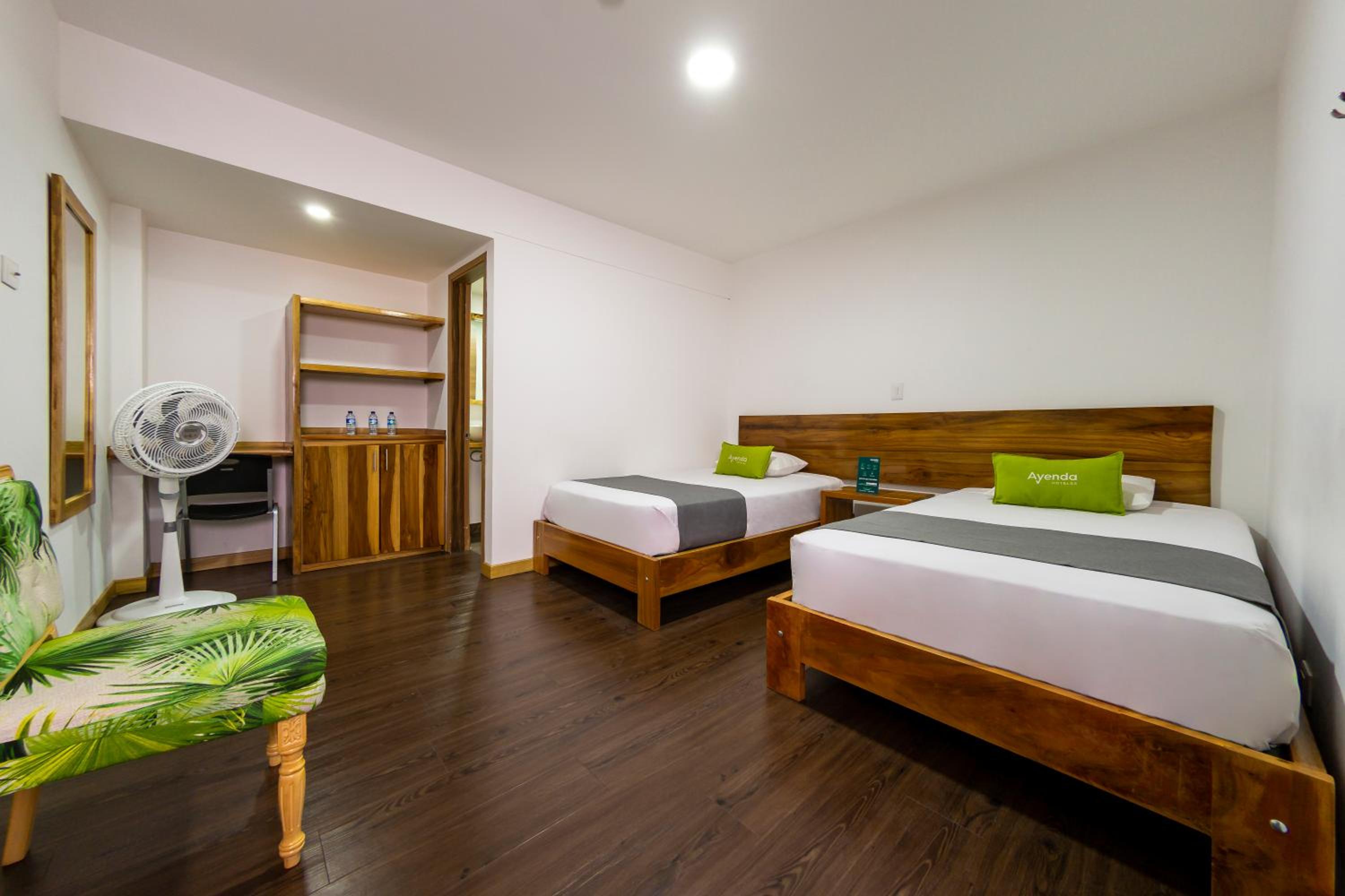 Twin Room photo 1