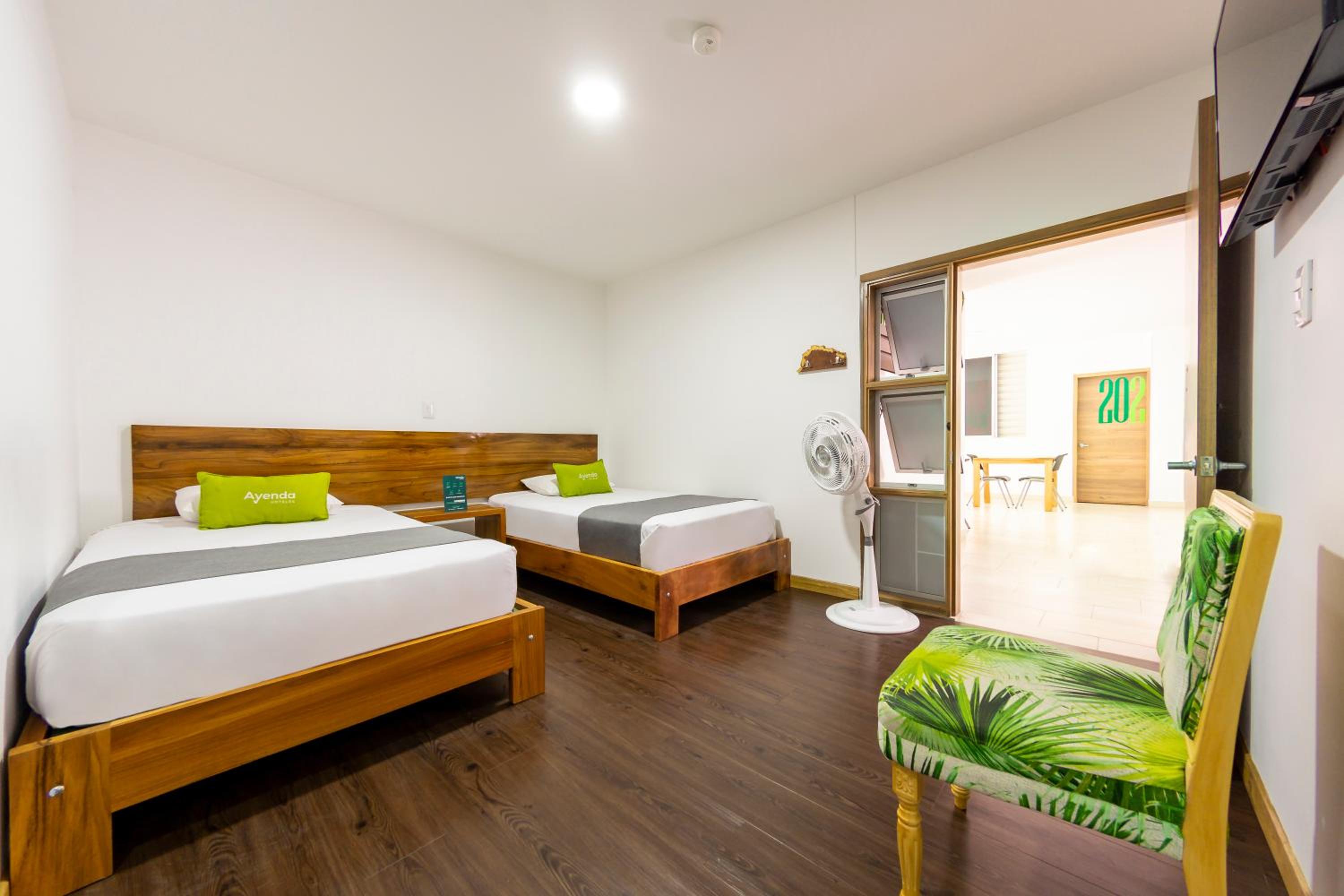 Twin Room photo 2