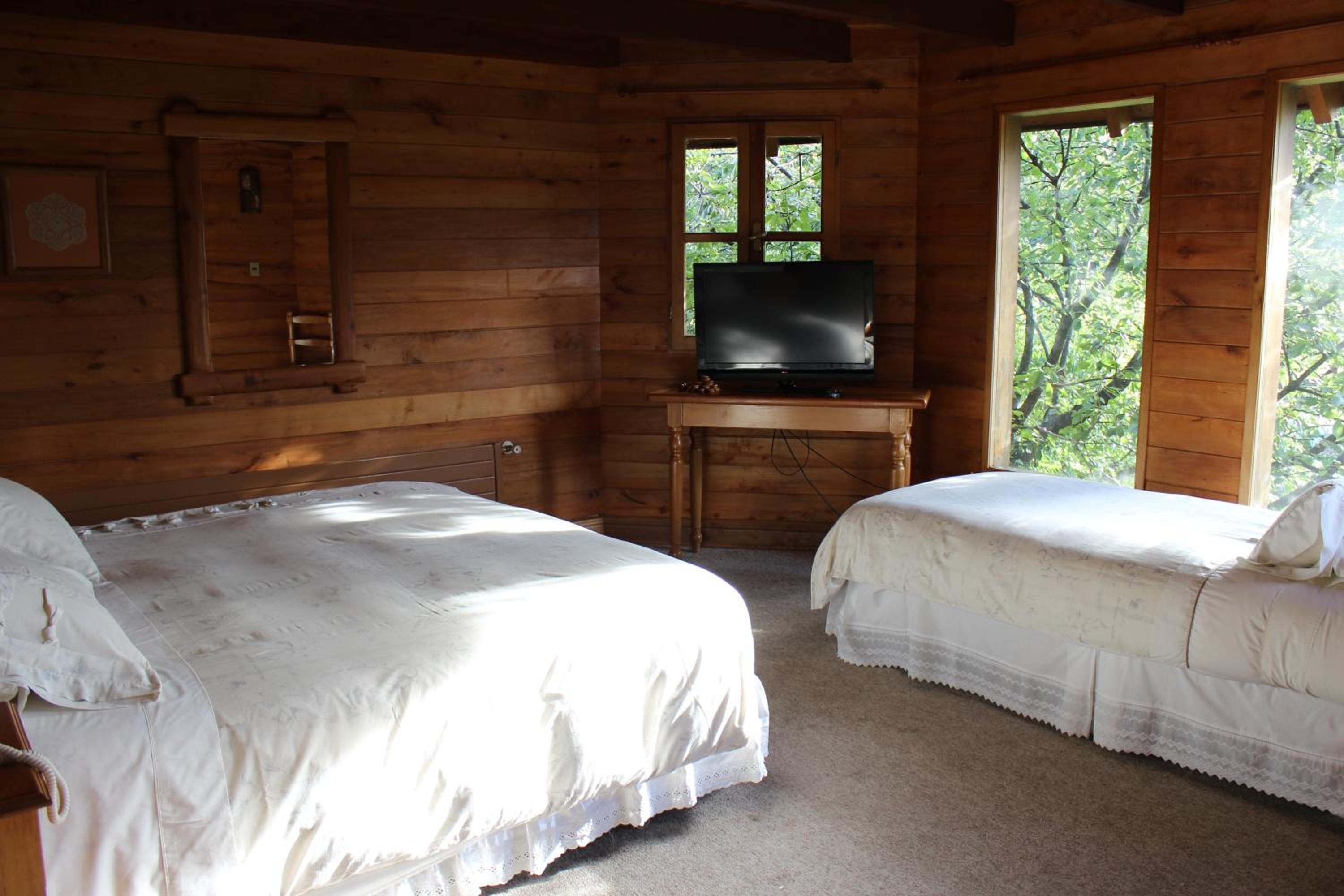 Triple Room 3-single beds photo 2
