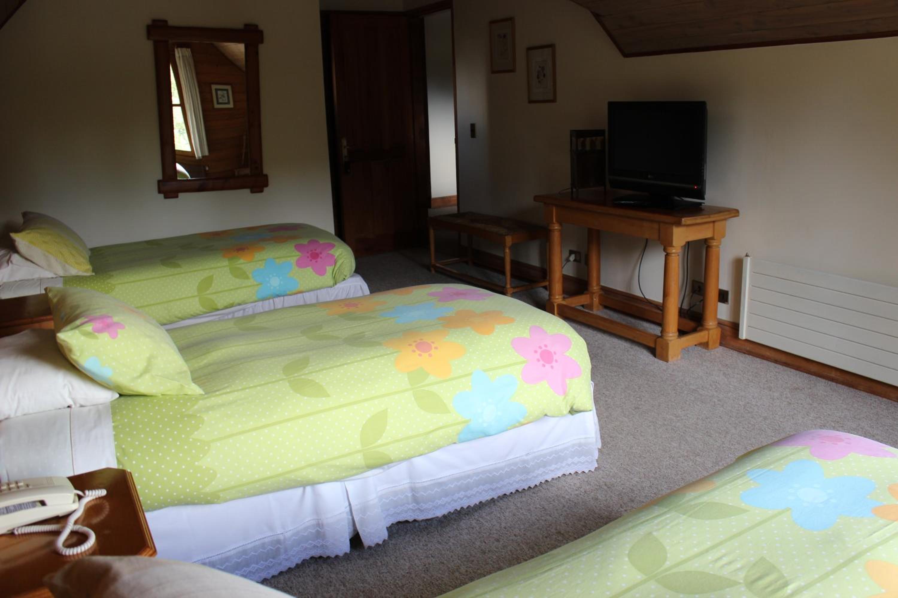 Triple Room 3-single beds photo 3
