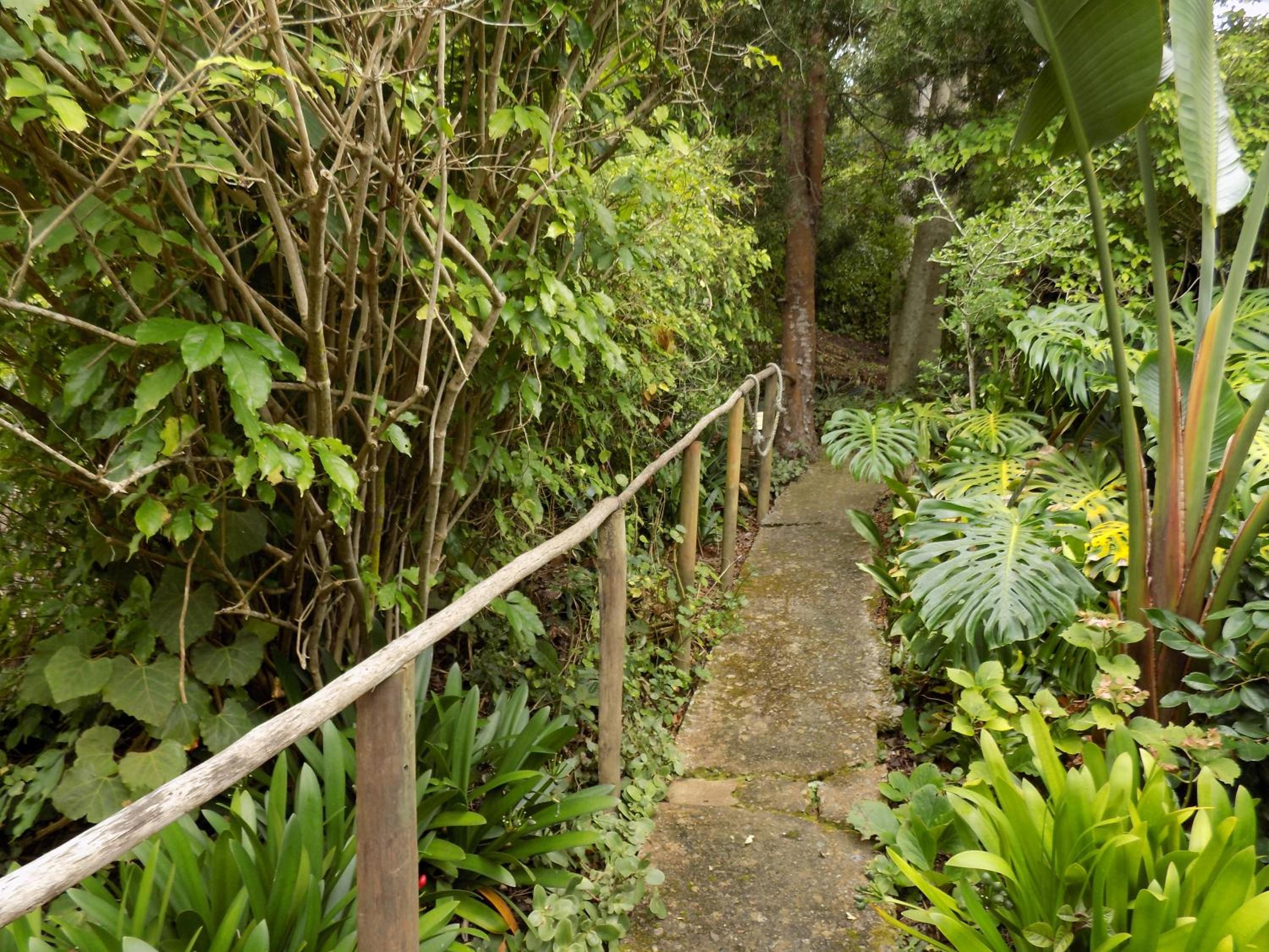 Queen Cottage - Photo 5