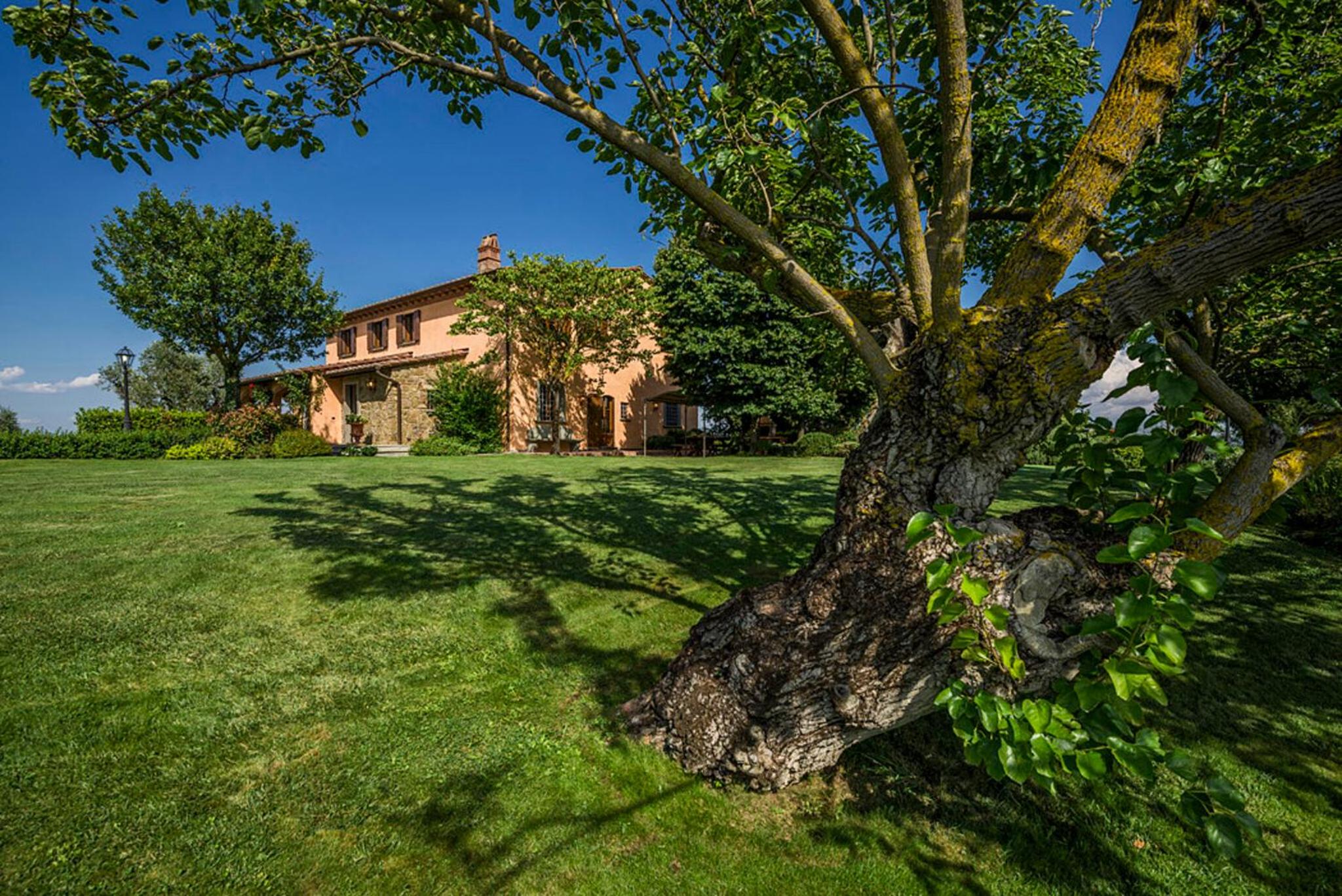 Deluxe Villa photo 3