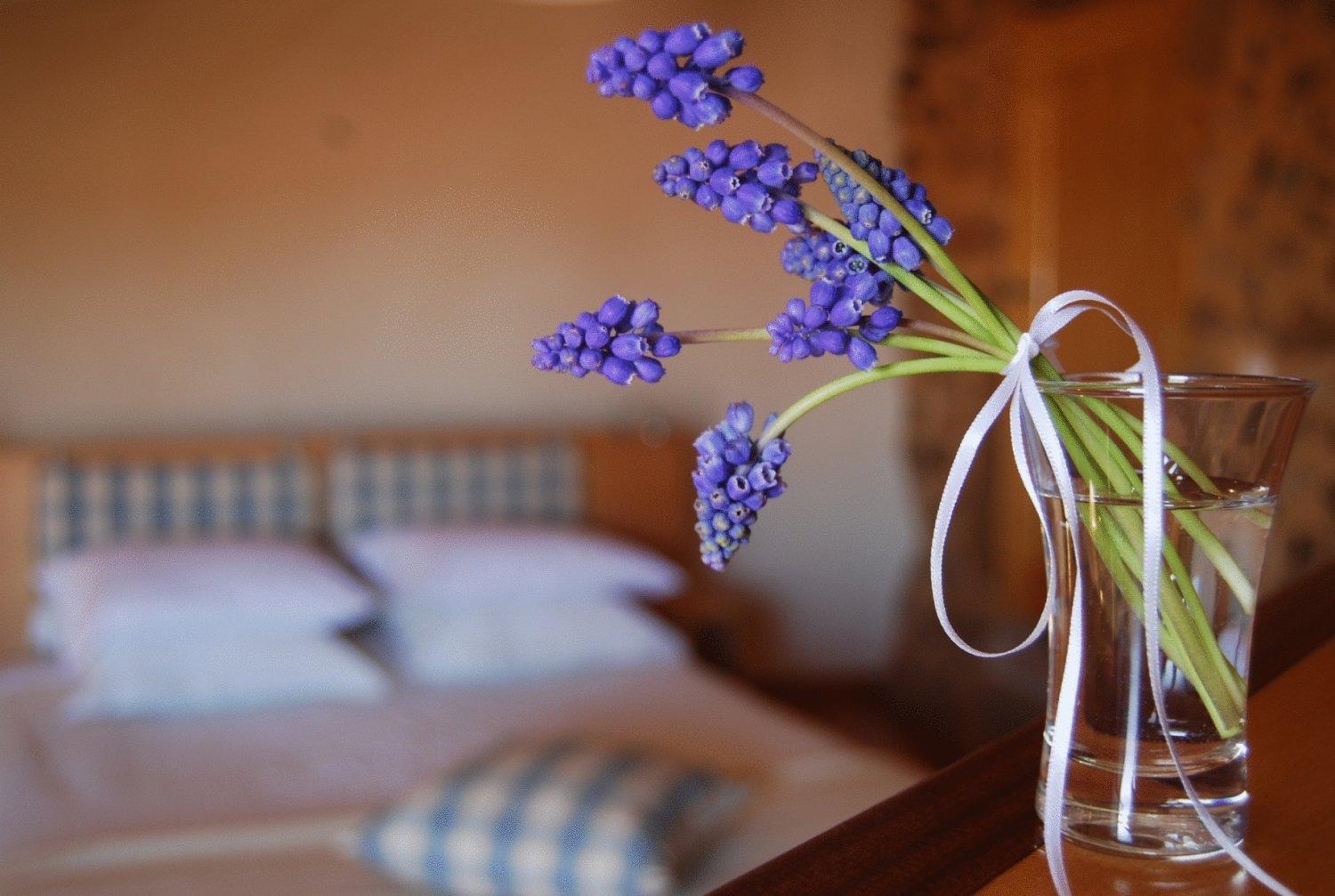 Suite - Photo 8