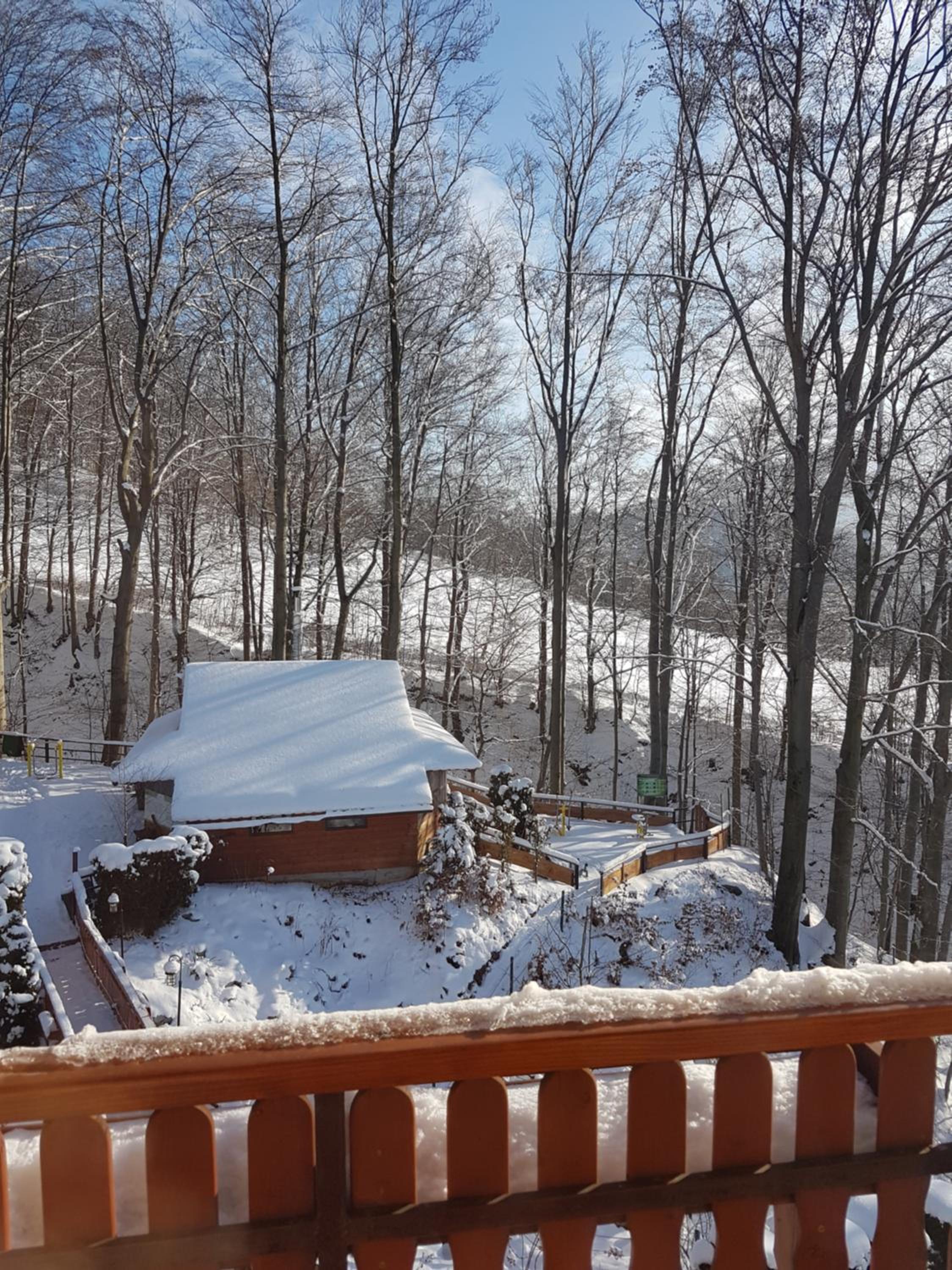 Studio with Mountain View photo 1