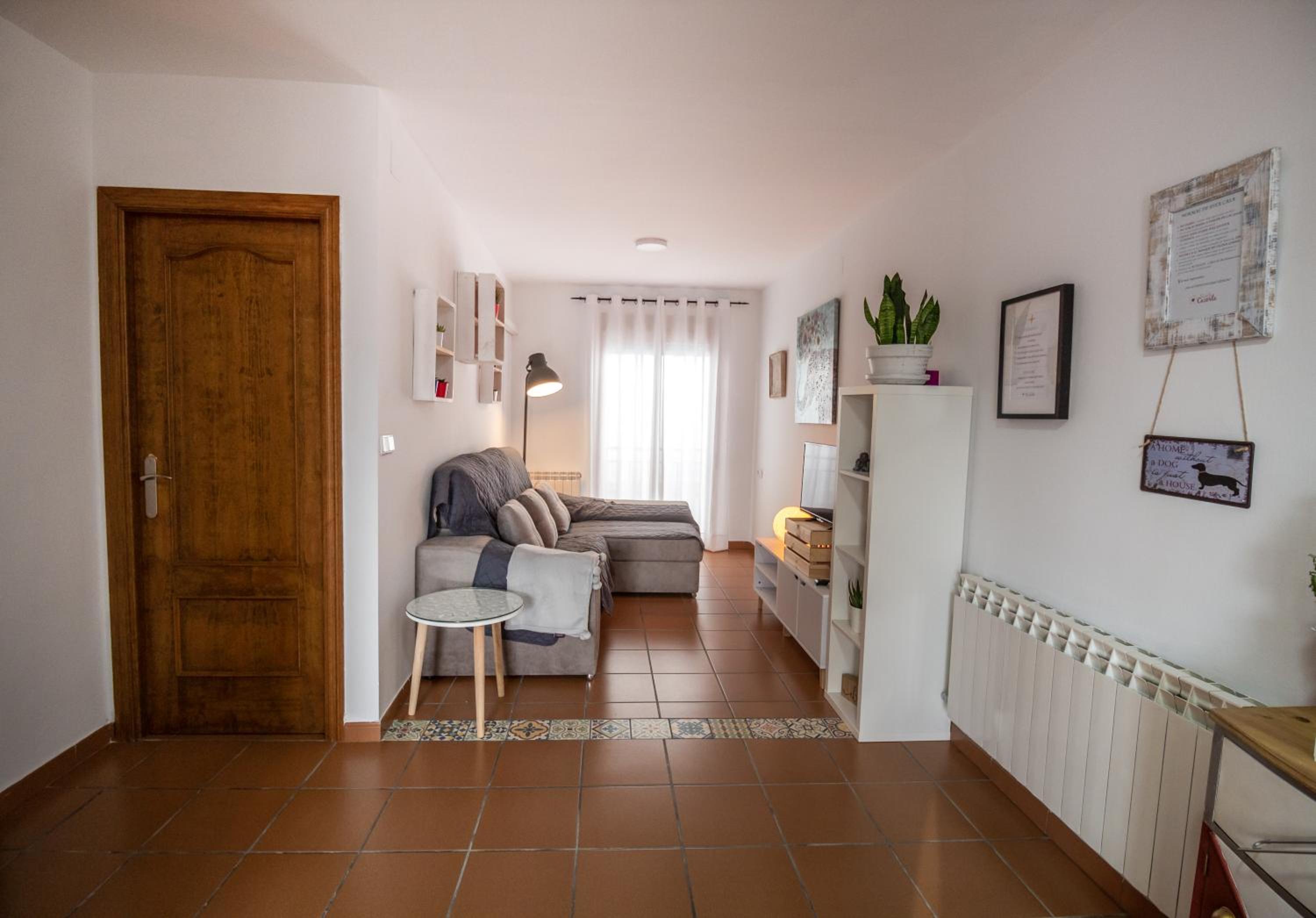 Apartment with Terrace photo 2