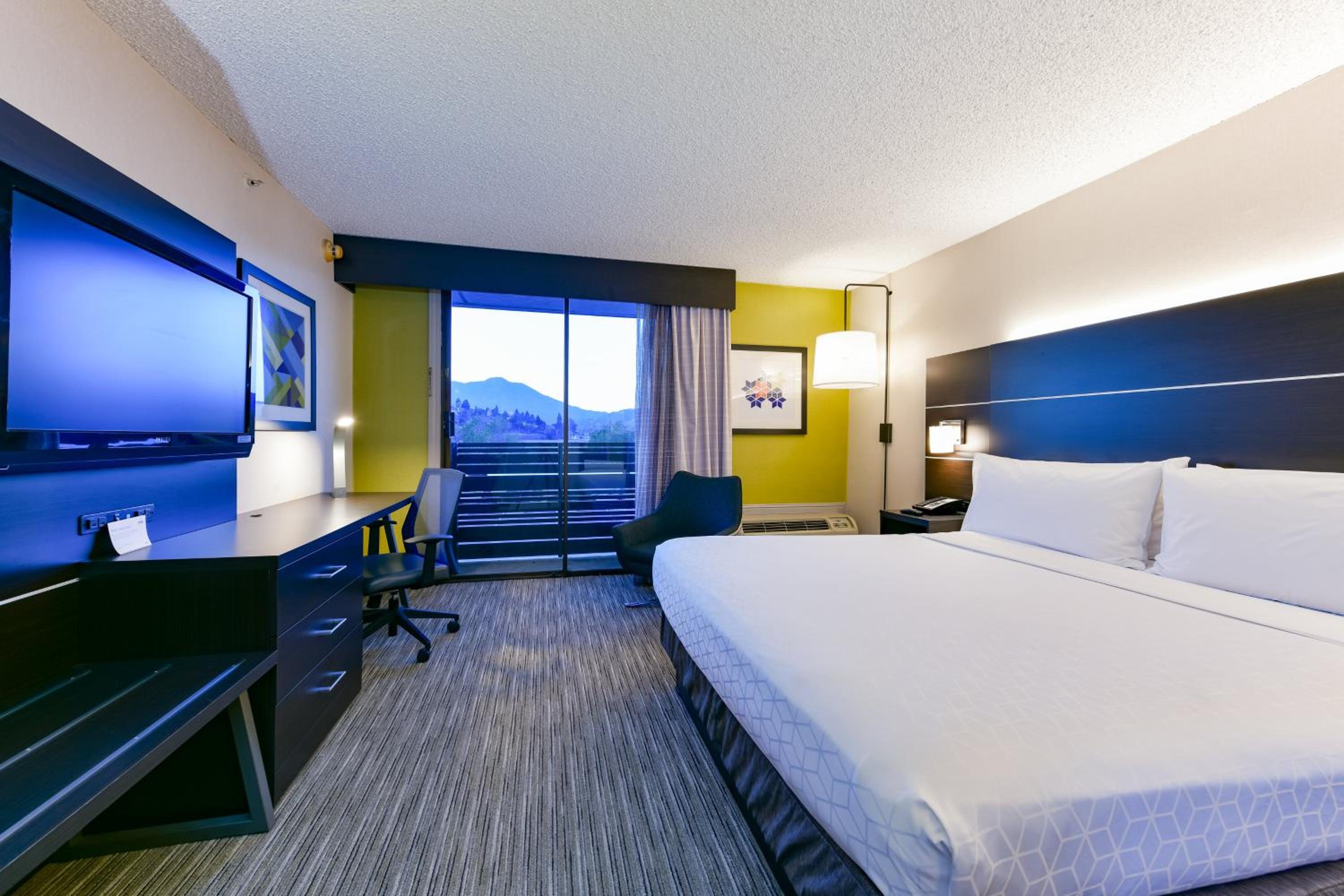 King Room with Mountain View - Photo 4