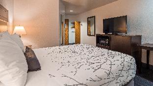 Efficiency Suite King Bed Nonsmoking - Photo 6