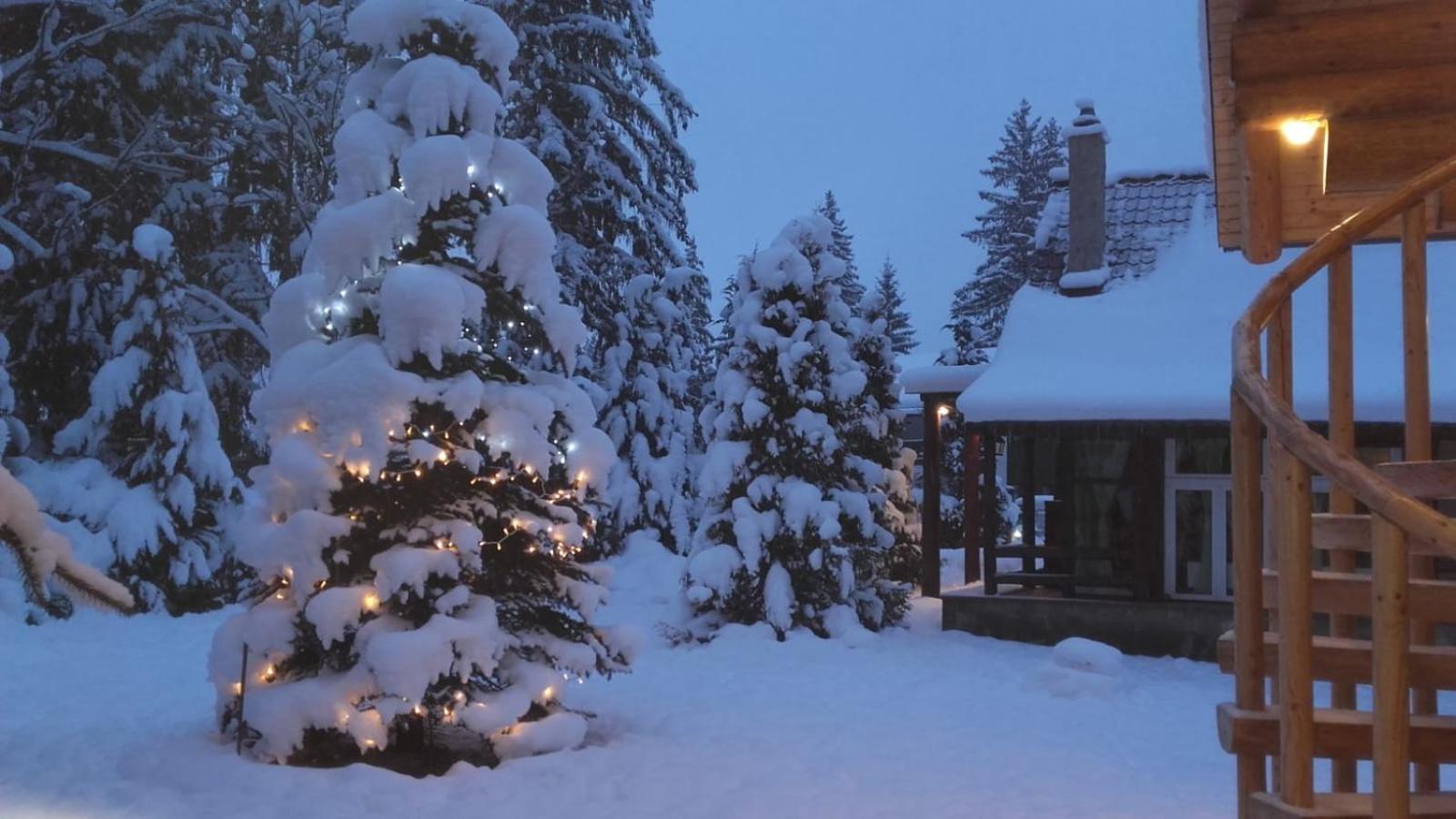 Chalet photo 2