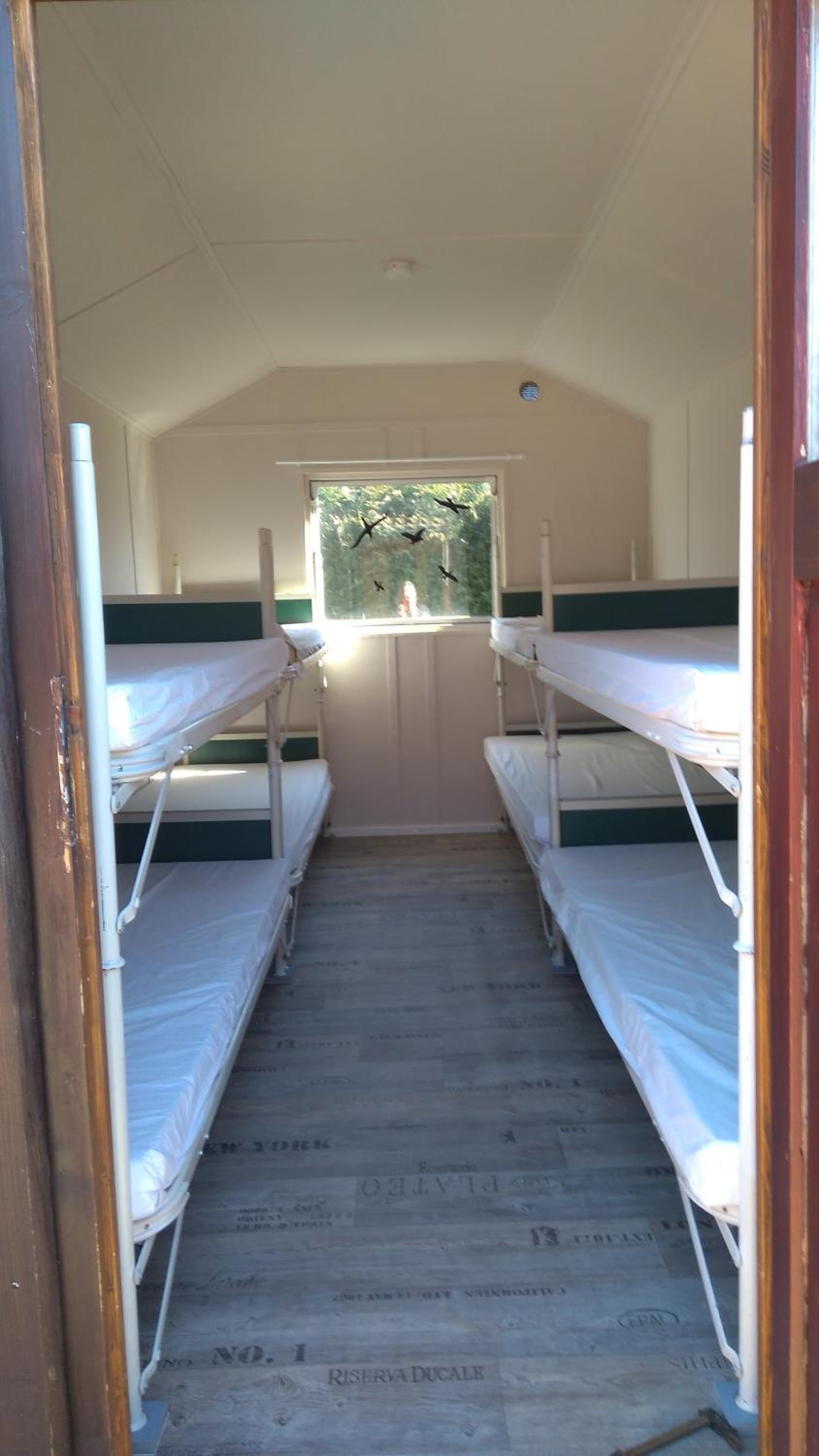 Mobile Home photo 1