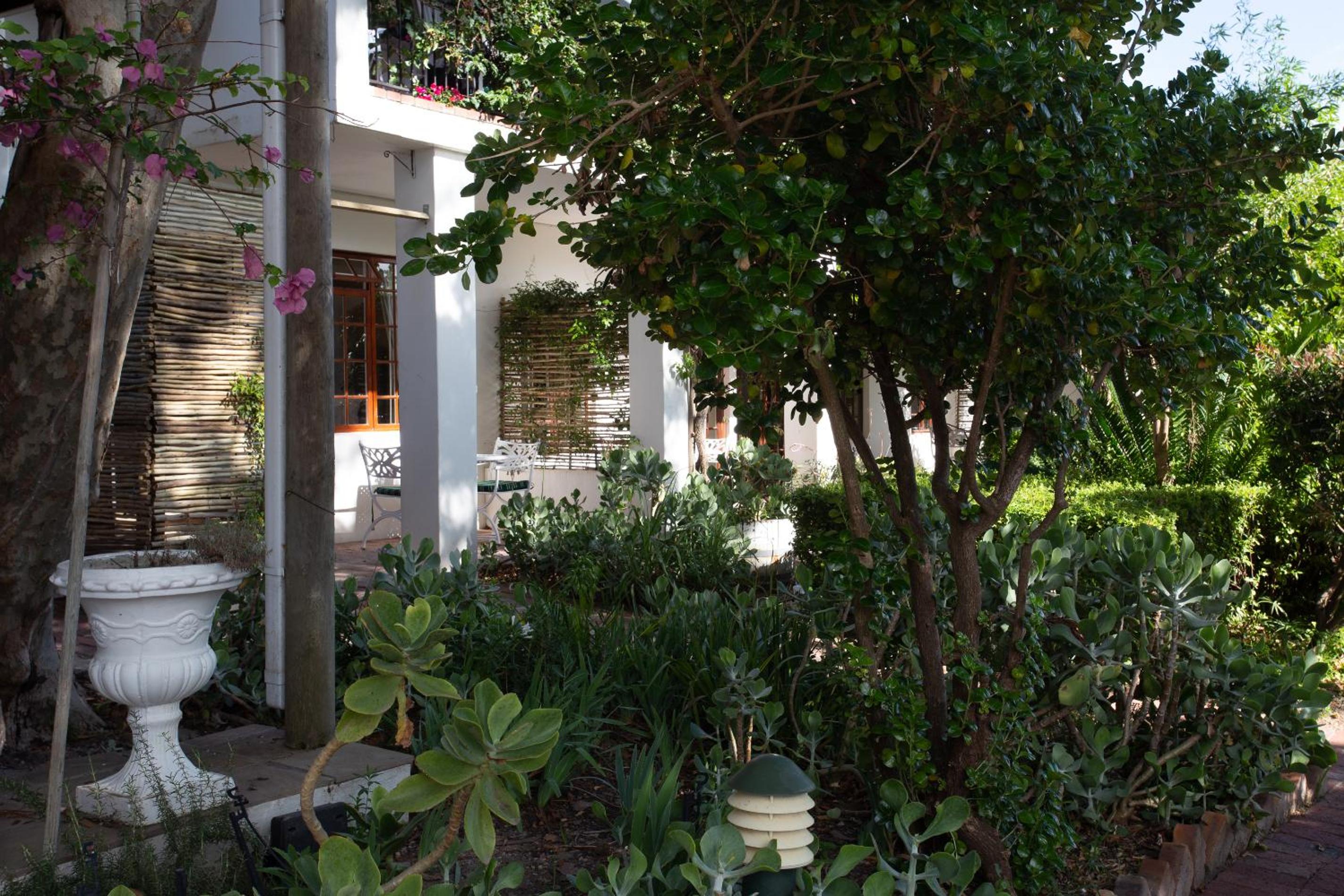 Garden Deluxe Room - Photo 12