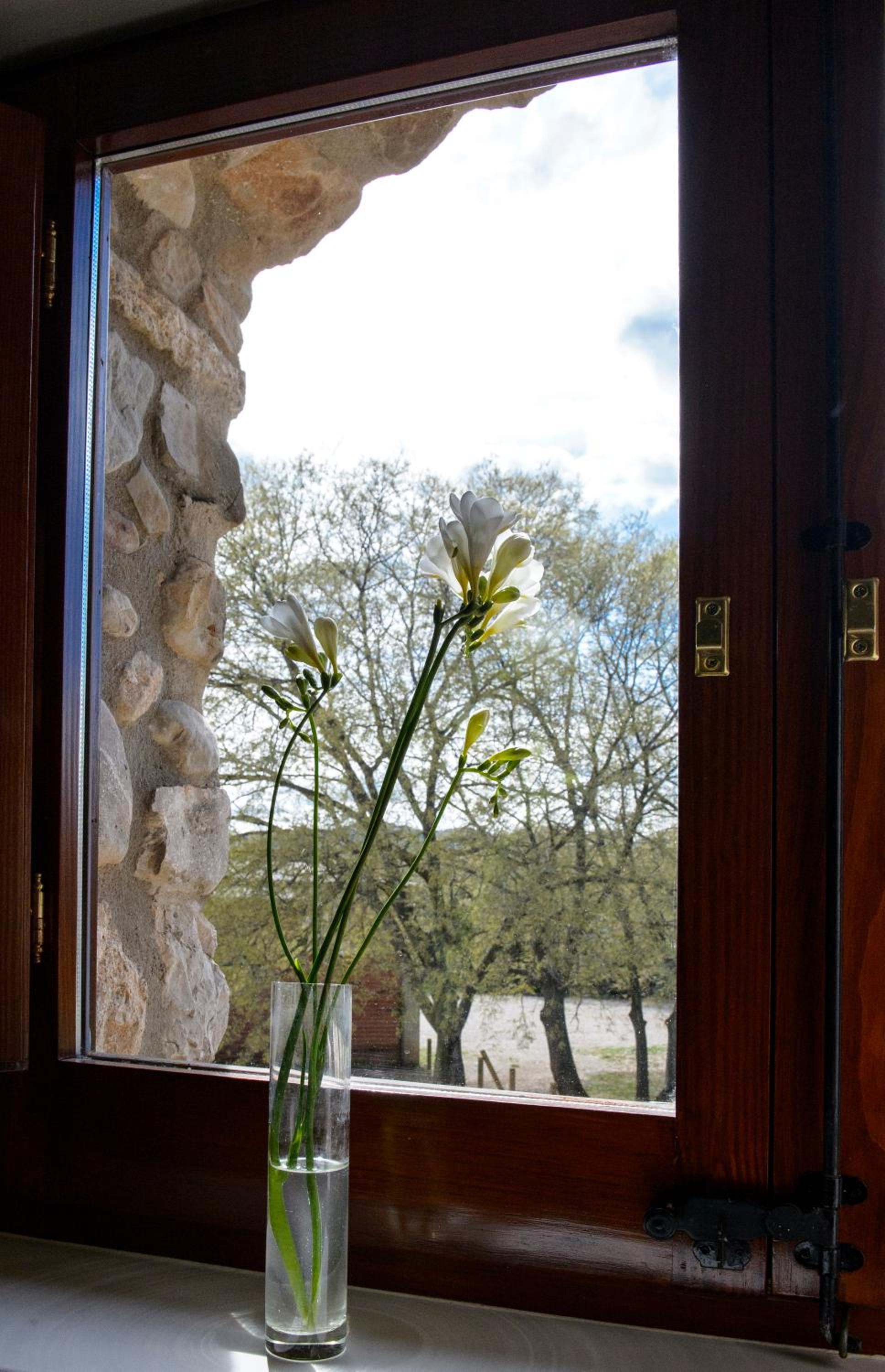 Triple Room with Terrace - In The Masia photo 3