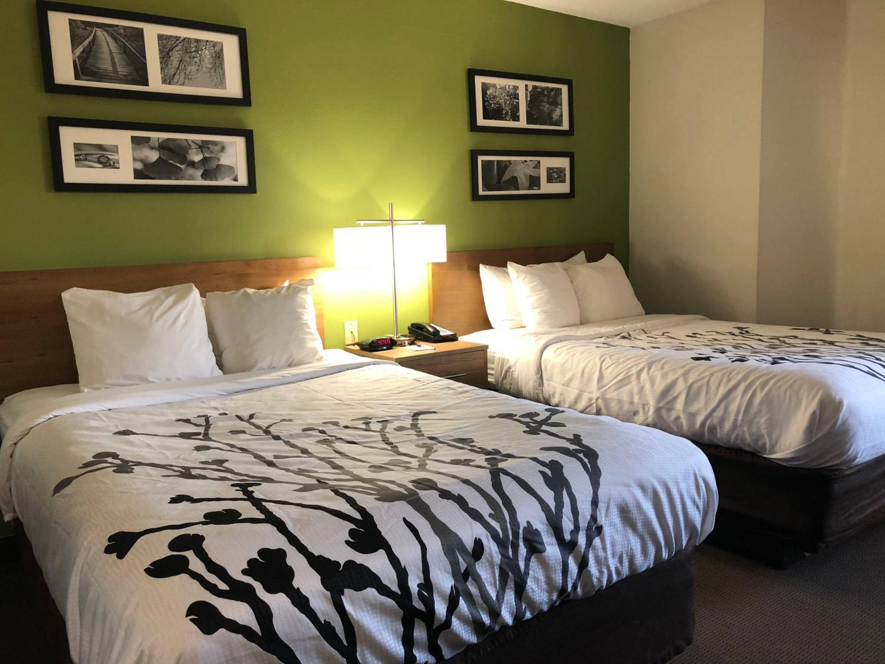 Double Room with Two Double Beds - Non-Smoking photo 2