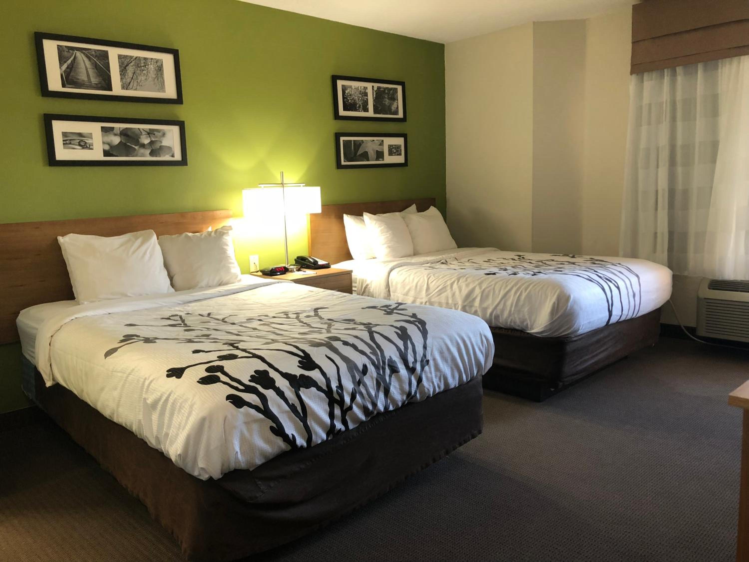 Double Room with Two Double Beds - Non-Smoking