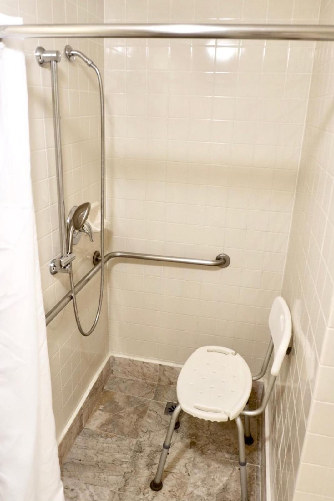Accessible Room, 1 King Bed, Roll-In Shower, Non Smoking - Photo 4