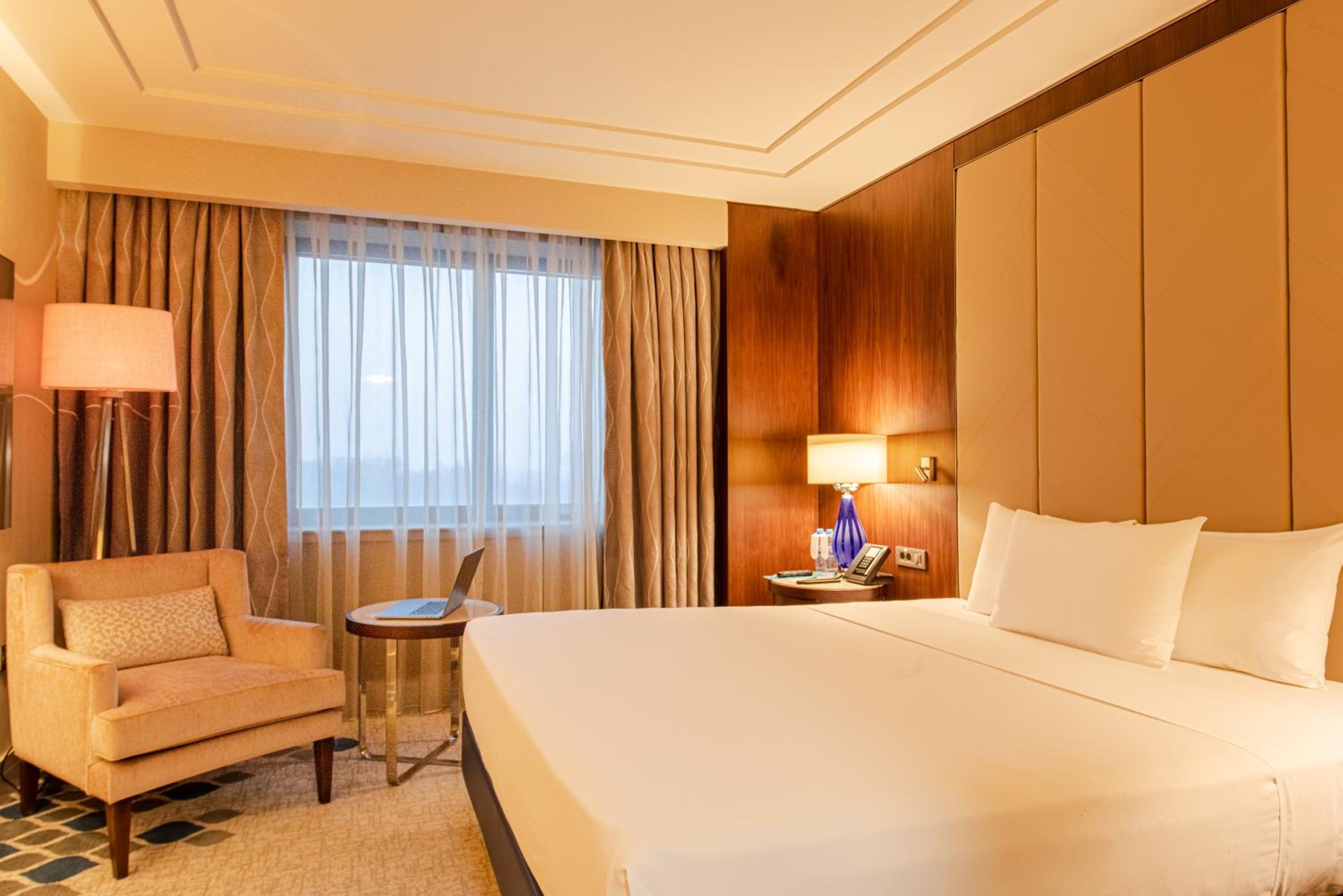 Suite - Photo 2