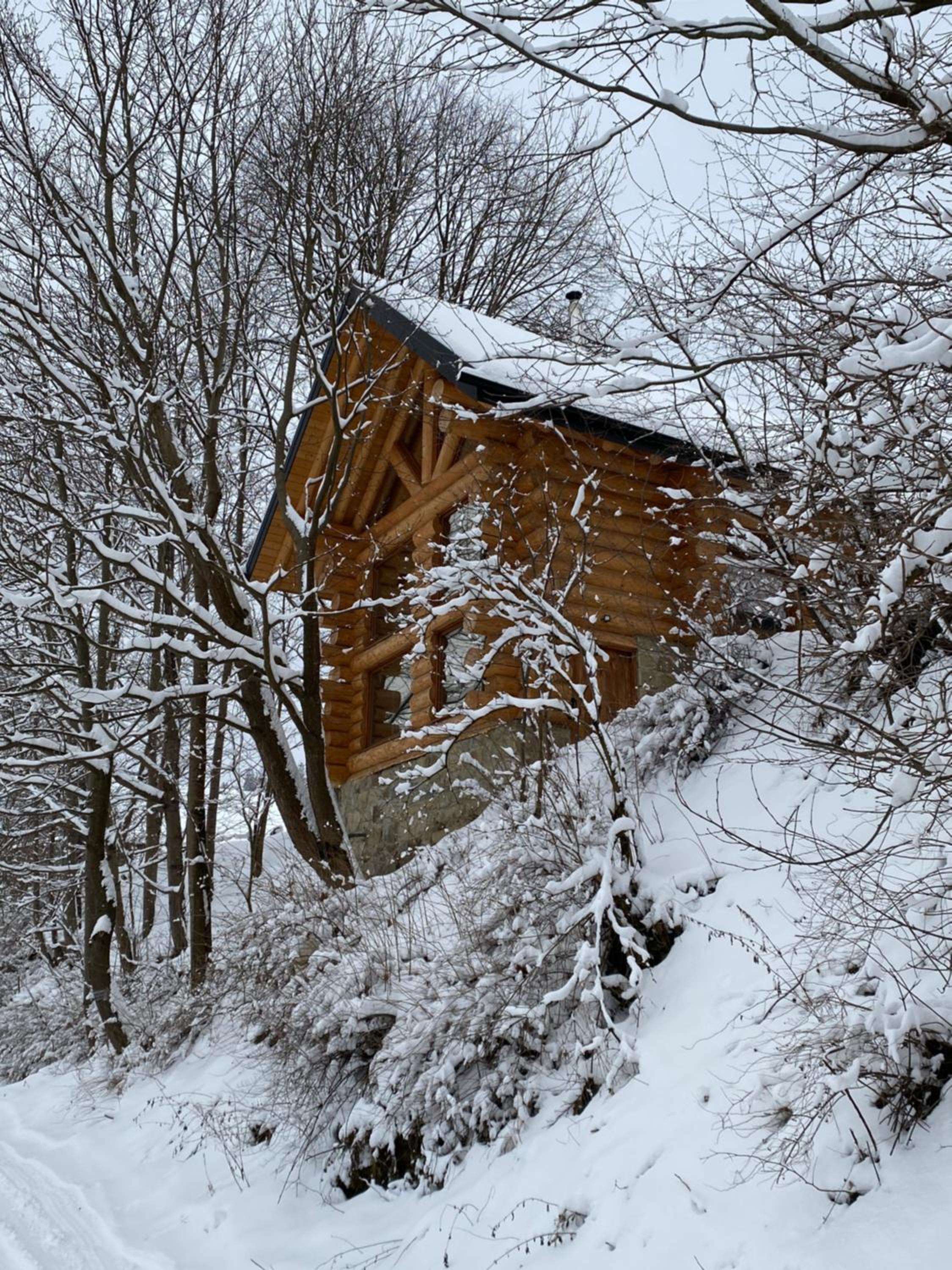Two-Bedroom Chalet photo 2