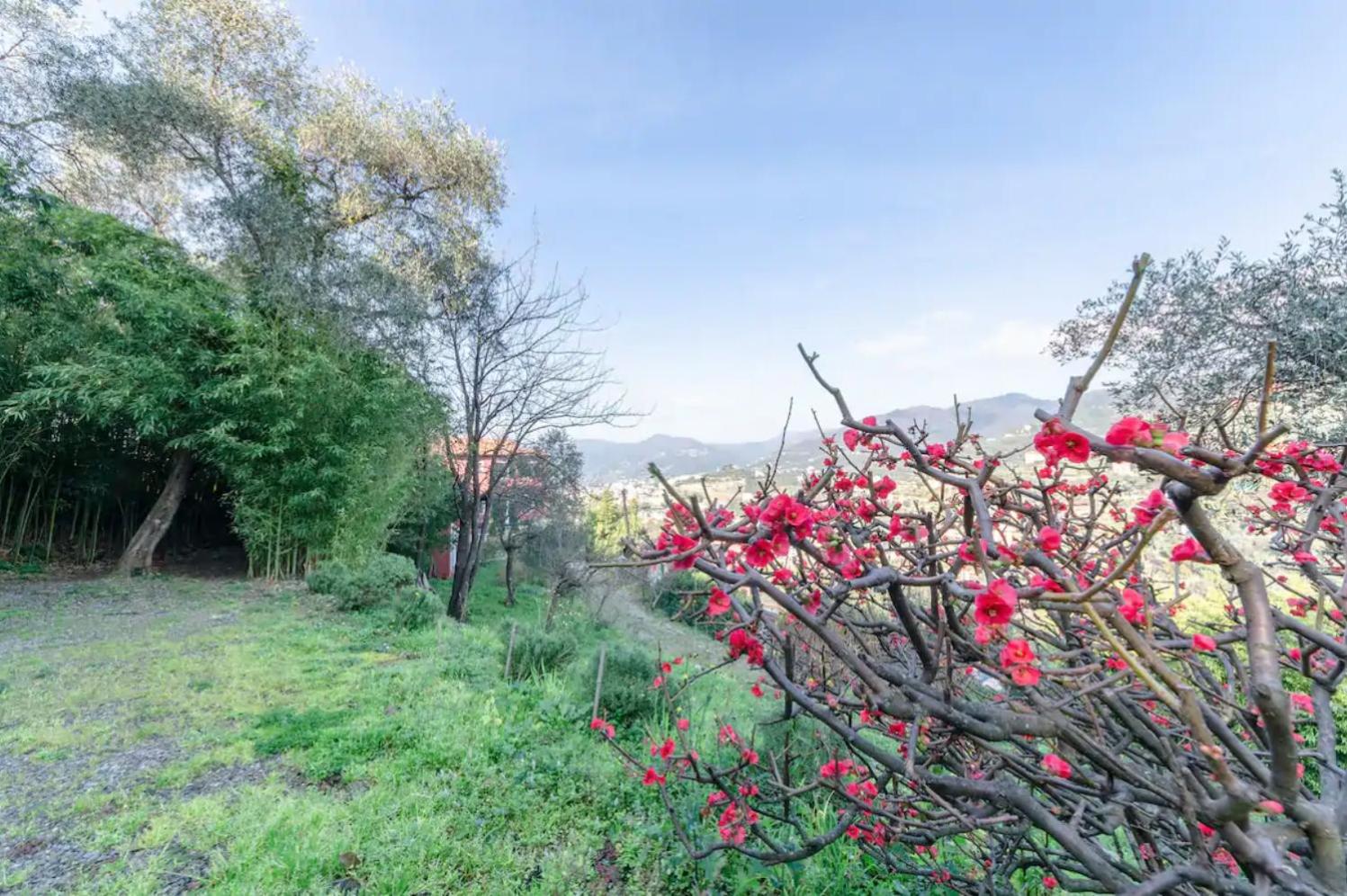 Apartment with Garden View photo 3