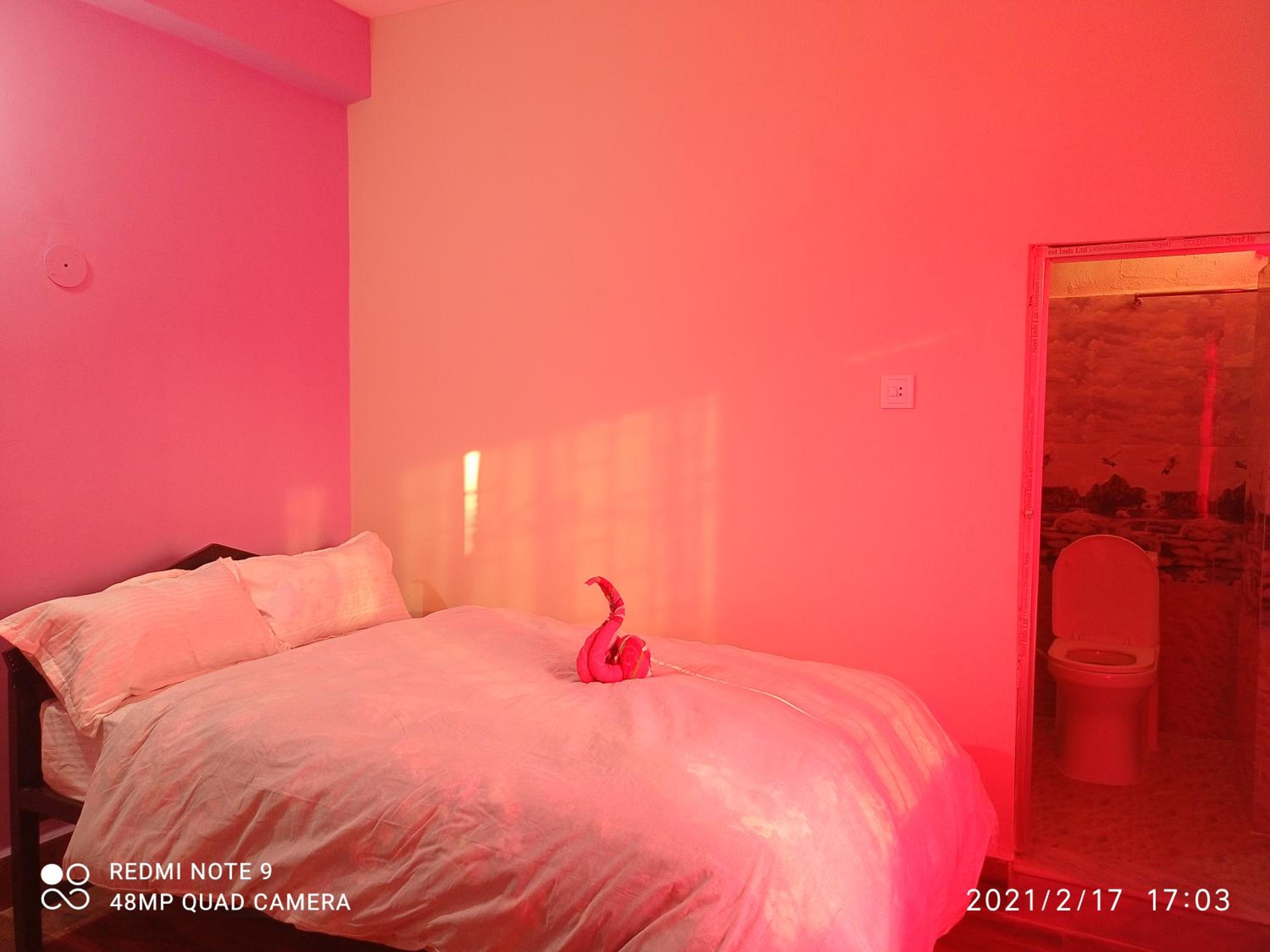 Standard Double Room with Fan photo 3