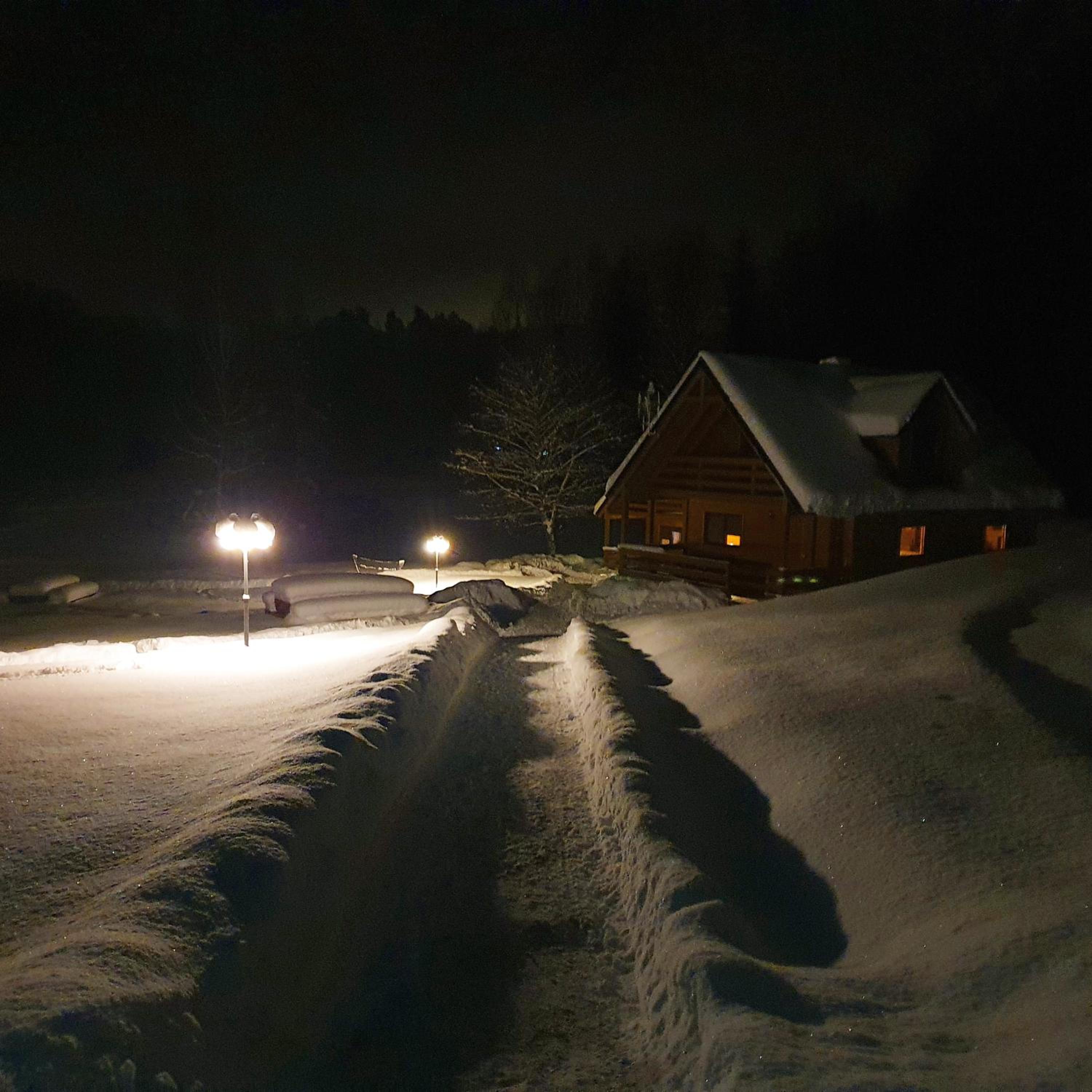 Three-Bedroom Chalet photo 2